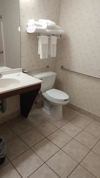 Bathroom in Country Inn & Suites by Radisson, Waterloo, IA