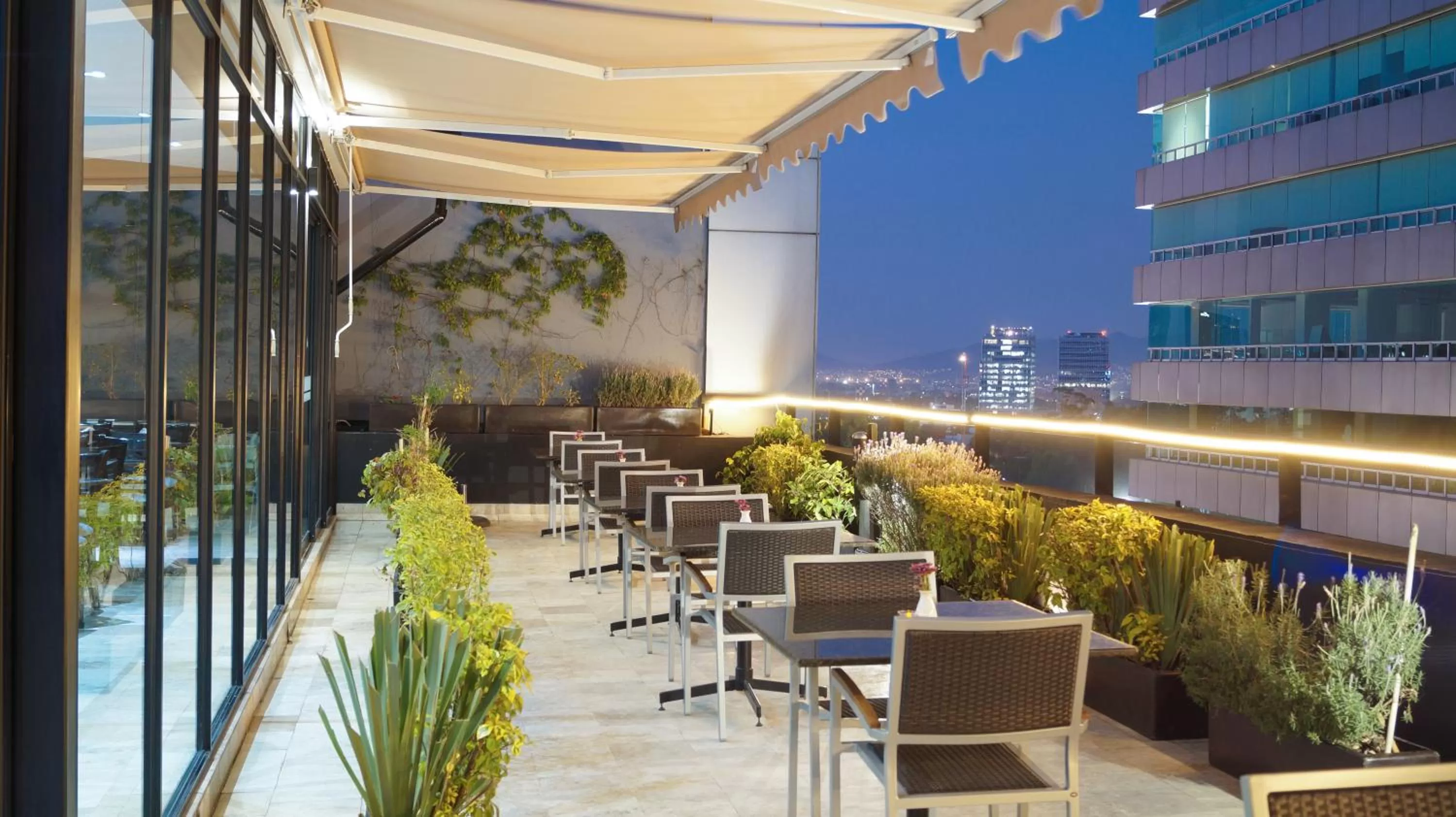 Restaurant/places to eat in Alteza Polanco