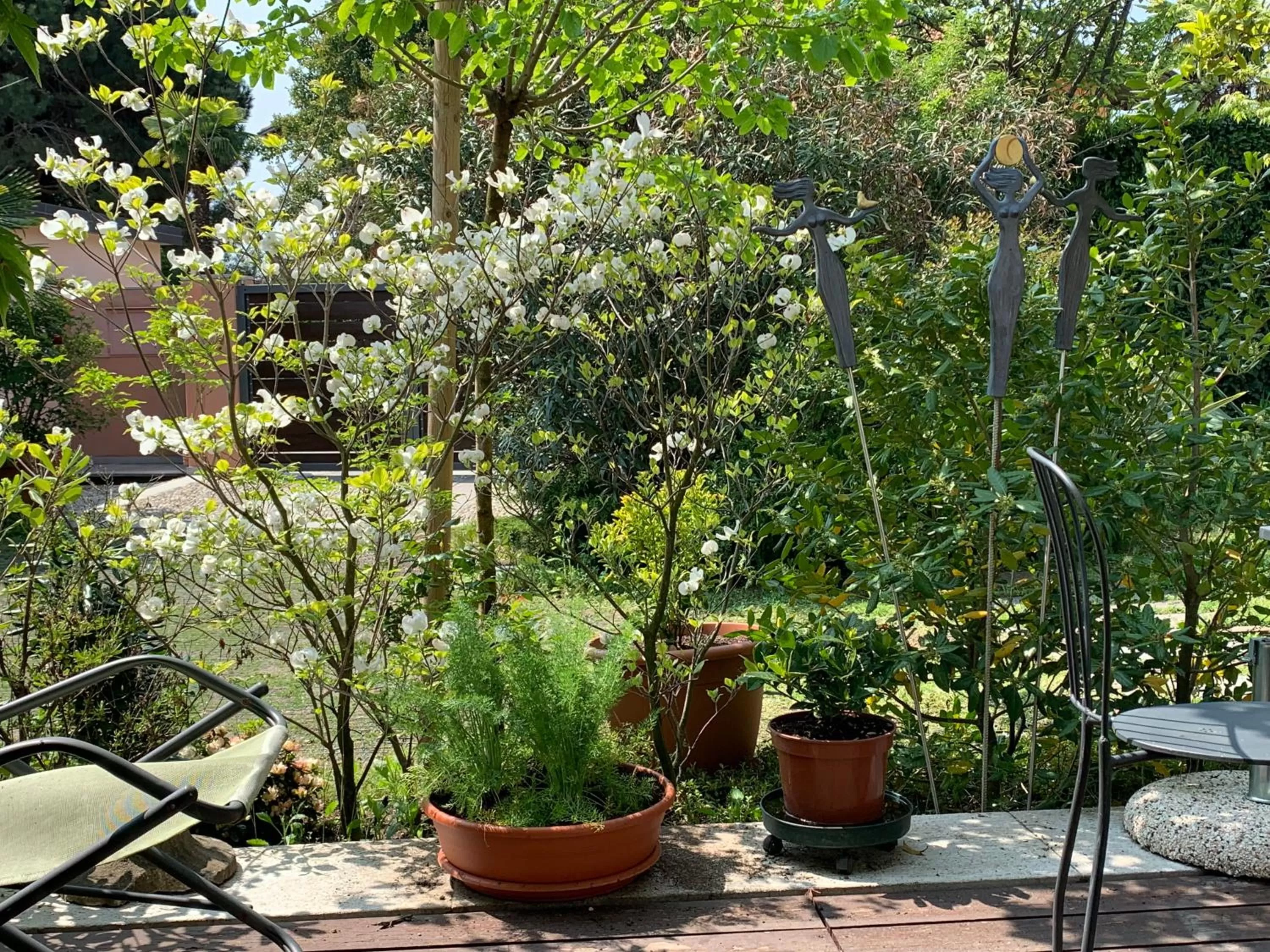 Garden in CASABELLA-LAGO MAGGIORE