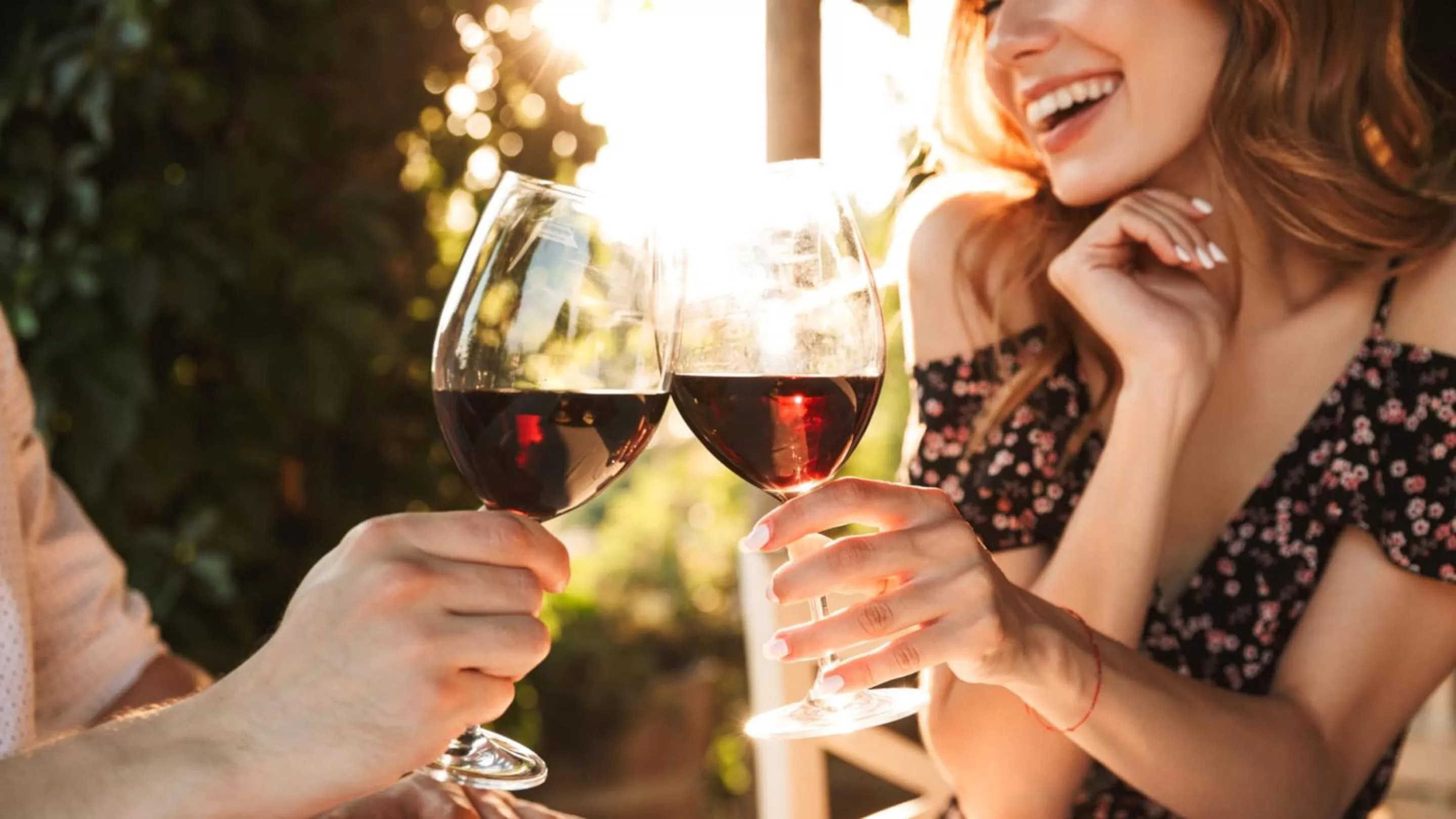 Balcony/Terrace in Hotel Villa Laurus