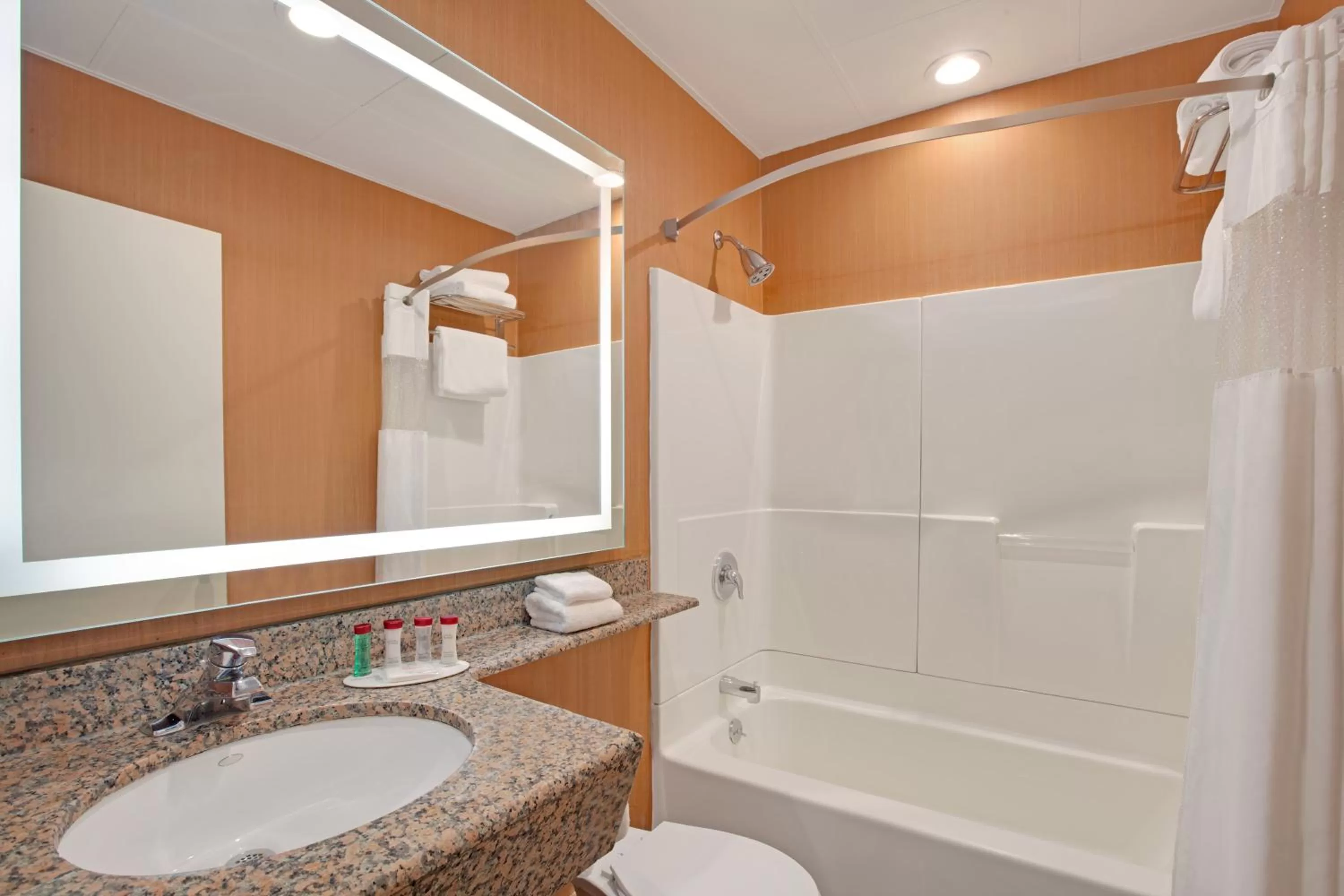 Shower in Ramada by Wyndham Bronx