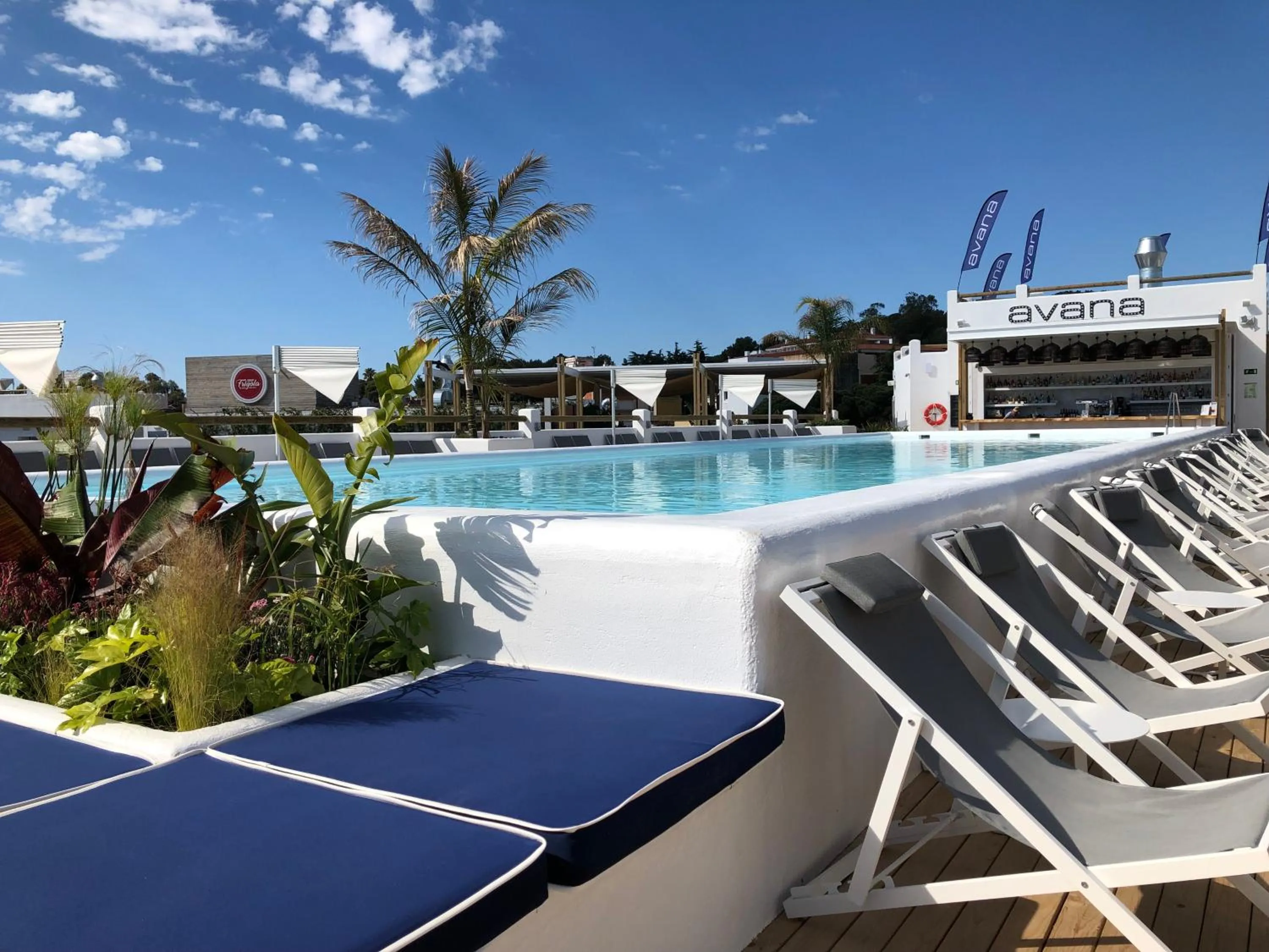 Restaurant/places to eat in Delamar 4*Sup-Adults only (18+)