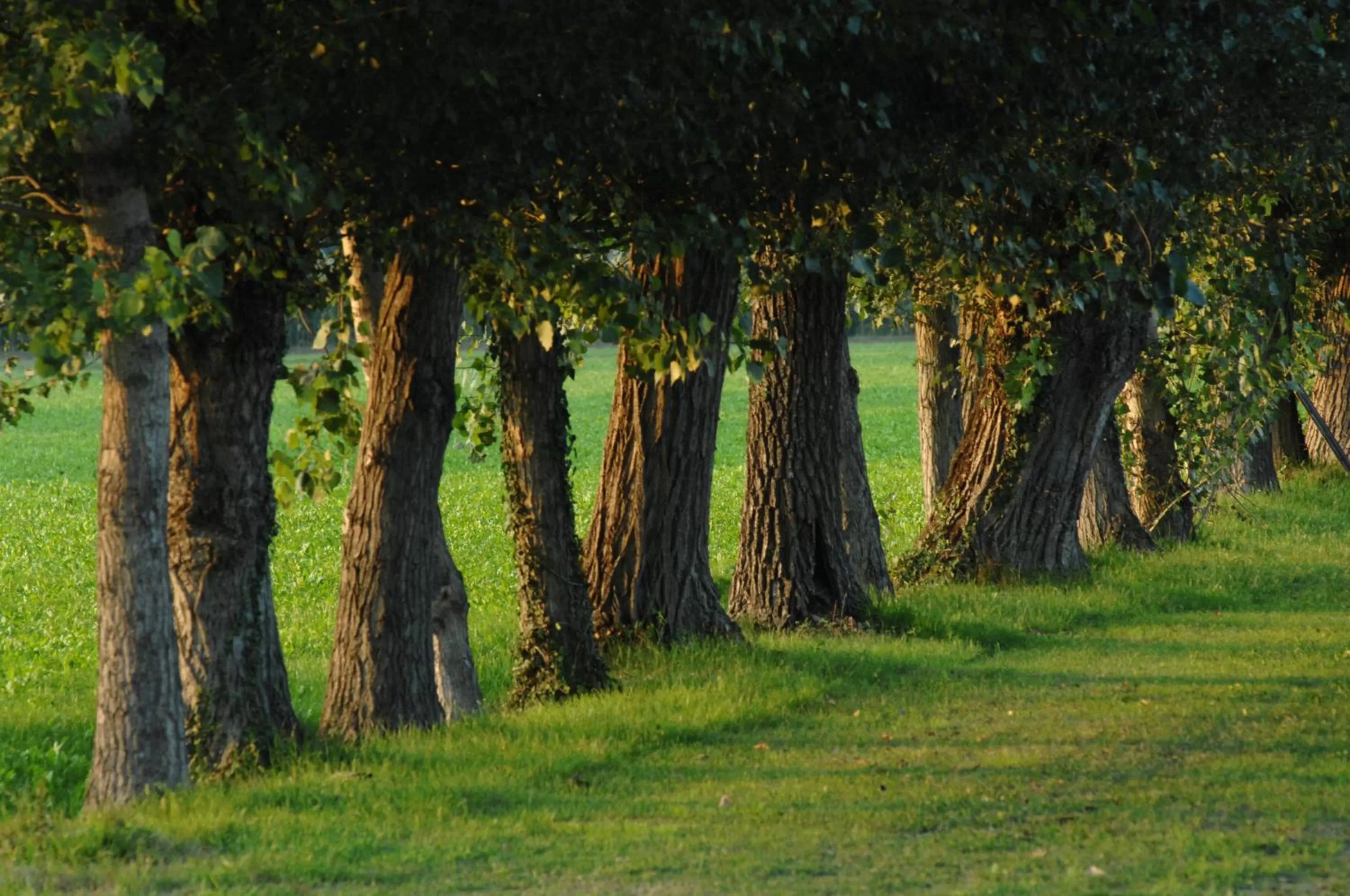 View (from property/room) in Hotel Scaldaferro