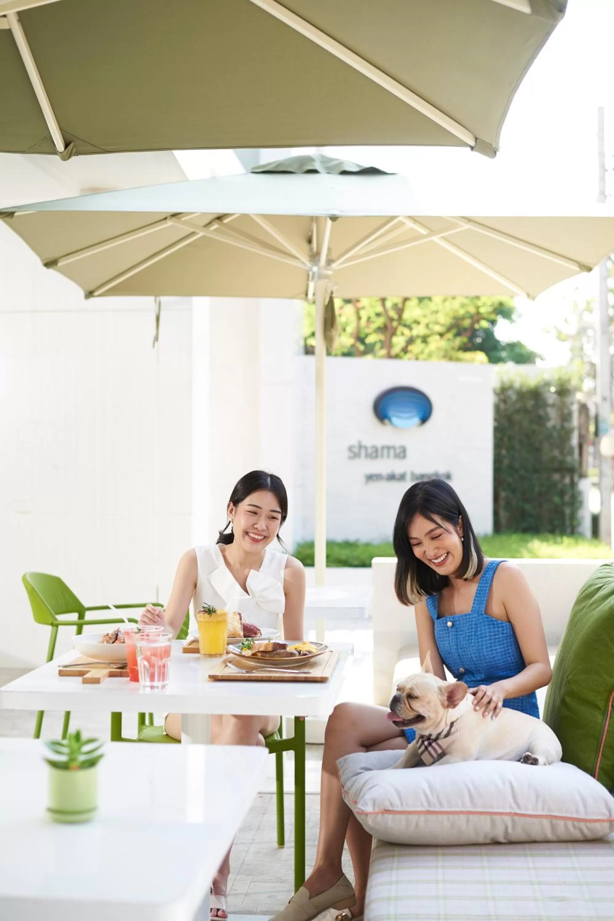 Restaurant/places to eat in Shama Yen-Akat Bangkok