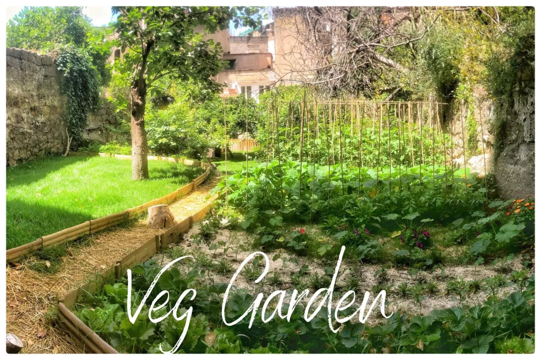 Garden in Casa Vayu - Rooms & Garden