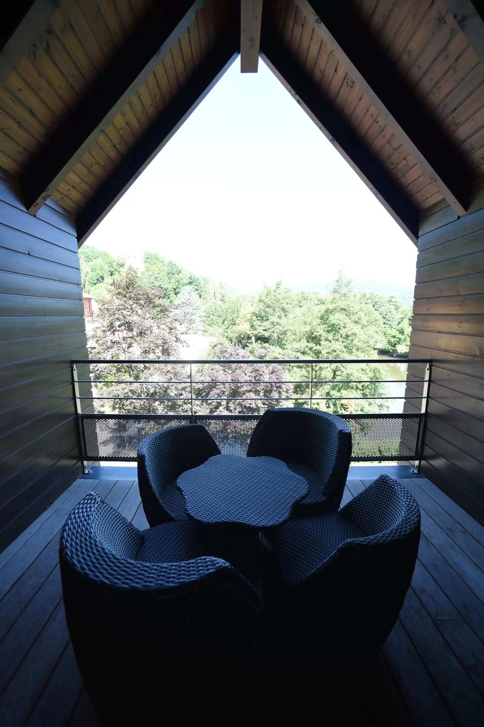 Balcony/Terrace in Hôtel Les Rives