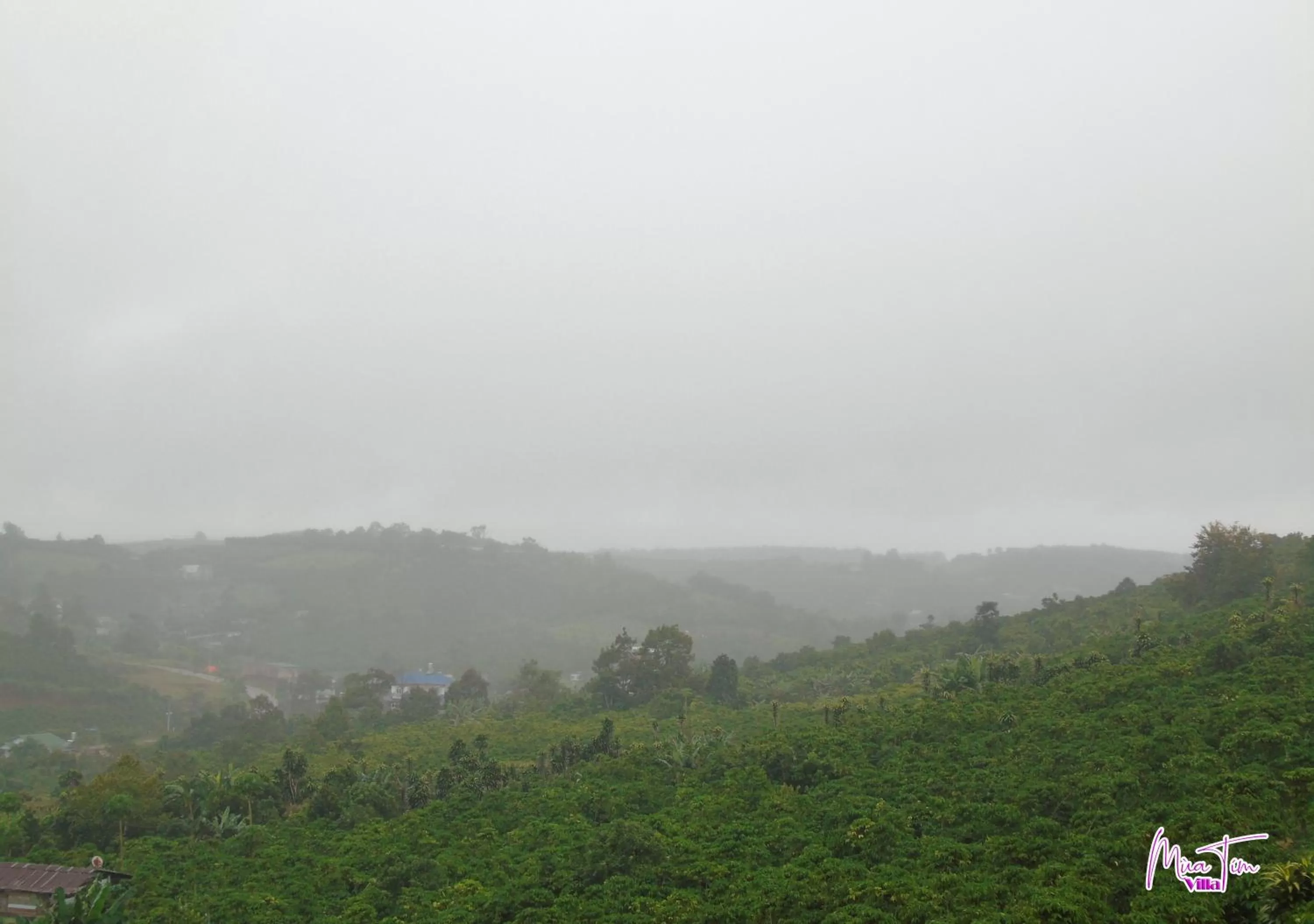 Natural landscape in Mùa Tím Villa