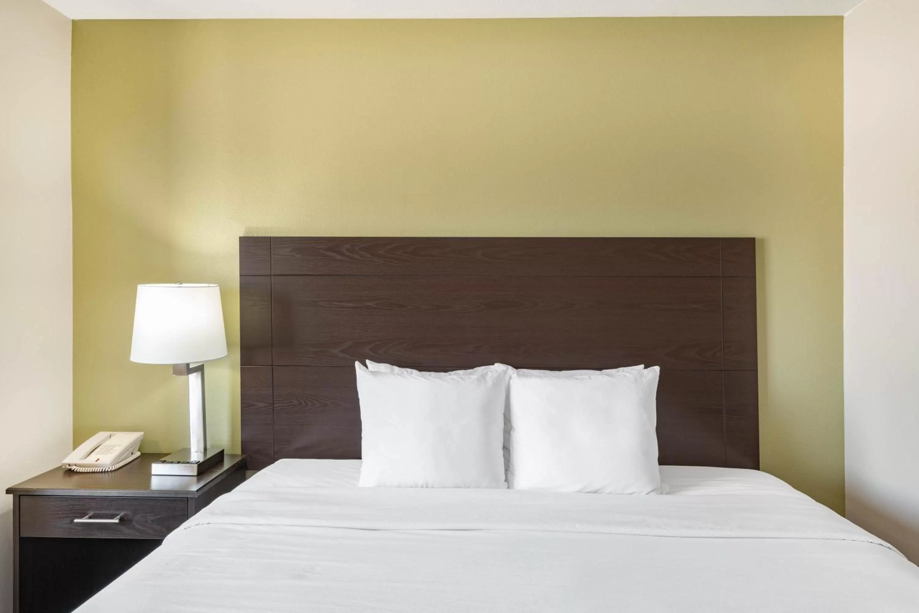 Deluxe King Studio Suite - Non-Smoking in Baymont by Wyndham Farmington