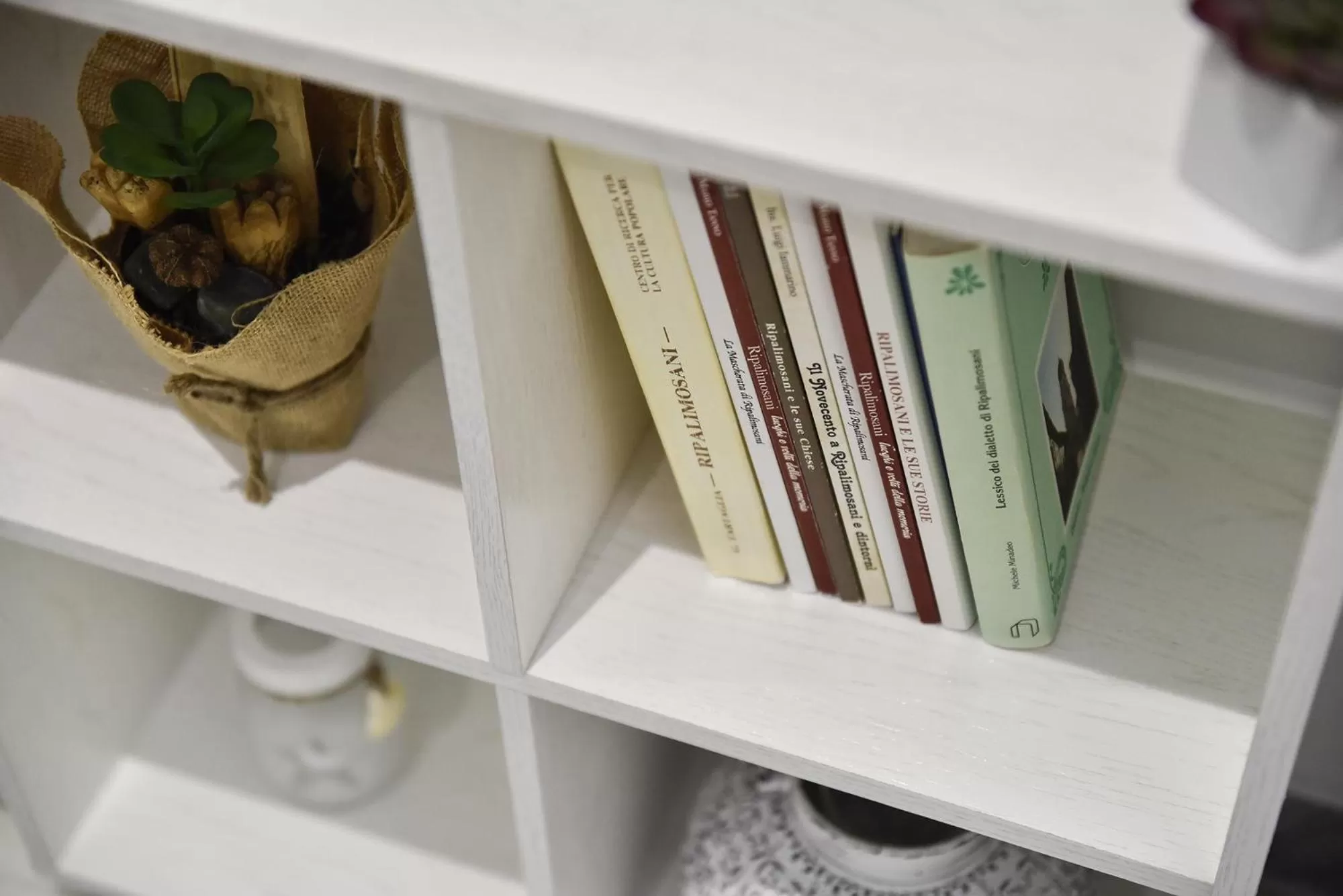 Library in Ripahome B&B