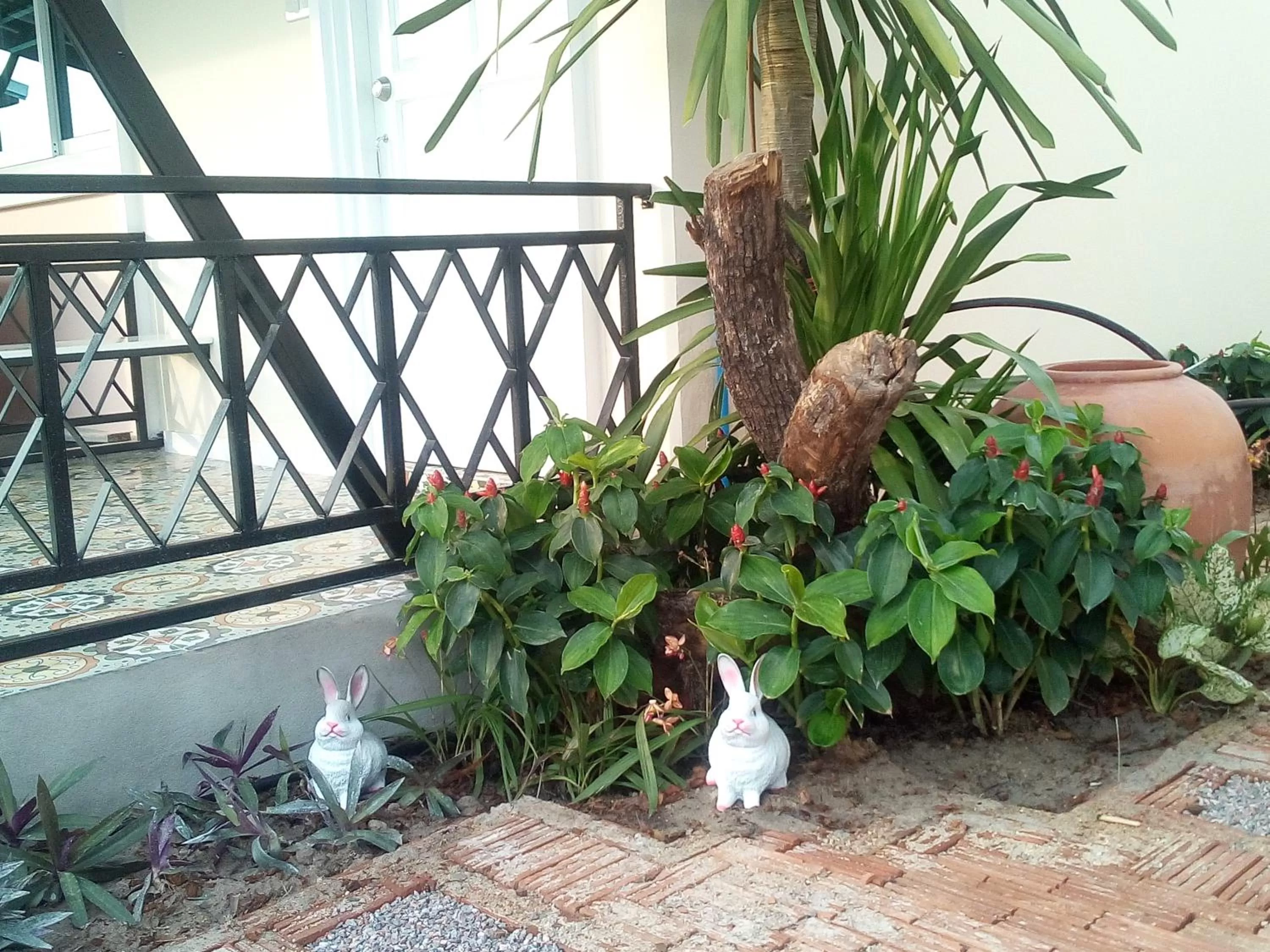 Garden in Fancy Carp Resort