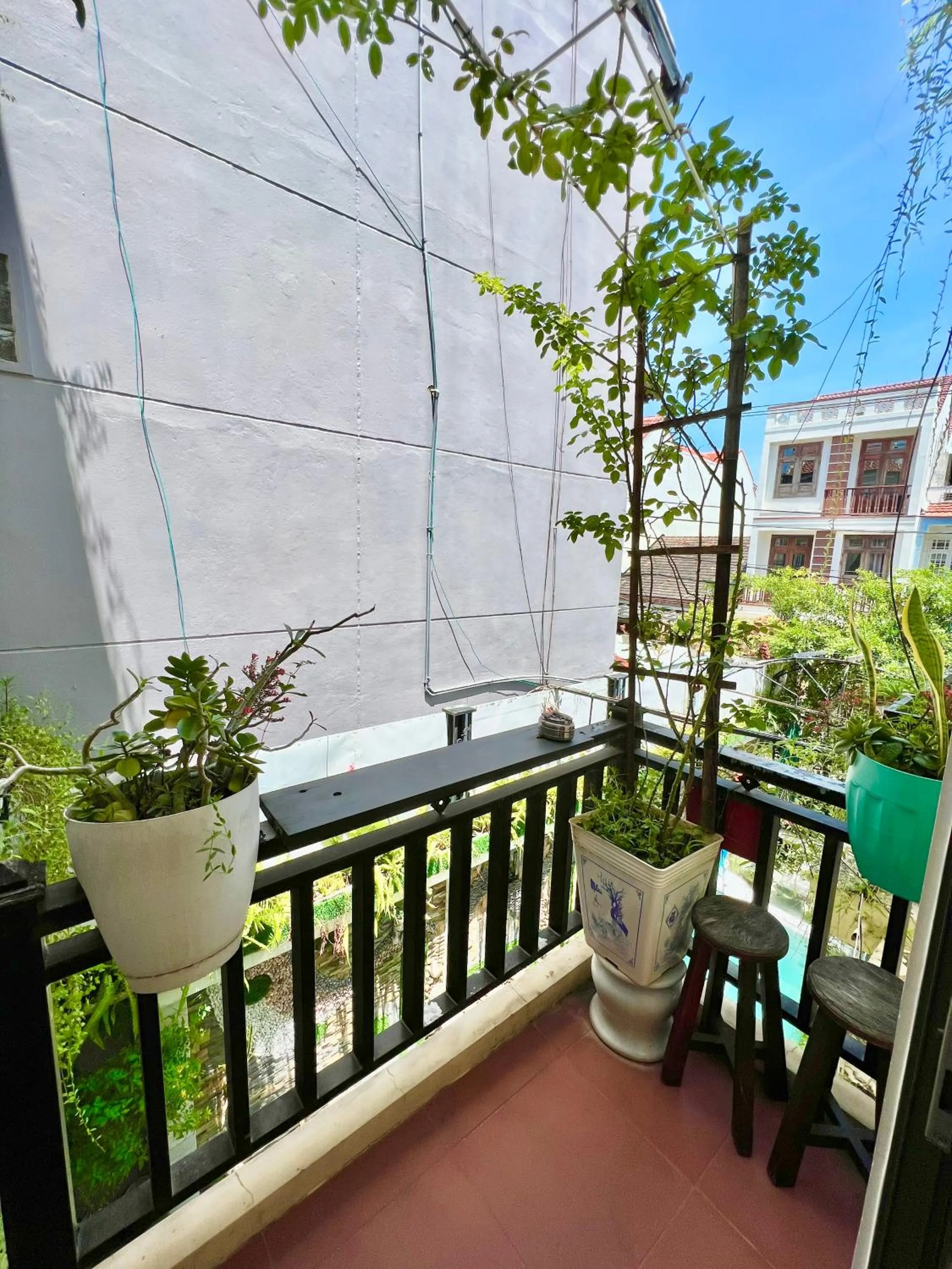 Day in Hoi An Ngo Homestay