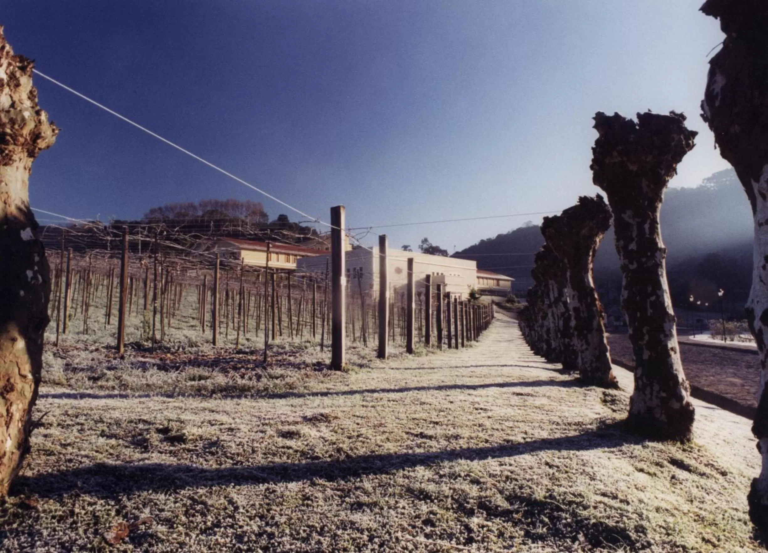 View (from property/room), Winter in Hotel Villa Michelon