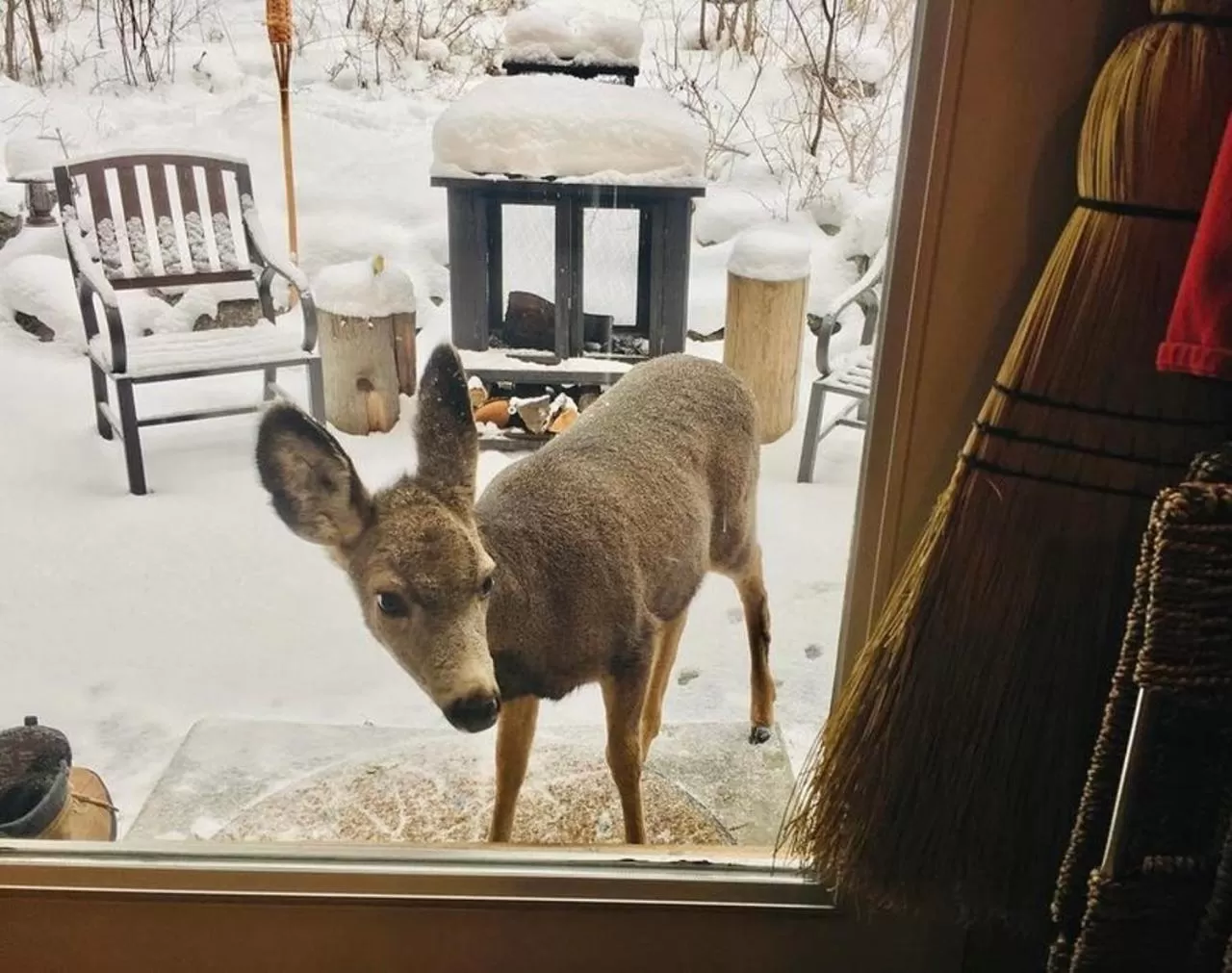 A Suite Retreat - Beyond Bed & Breakfast