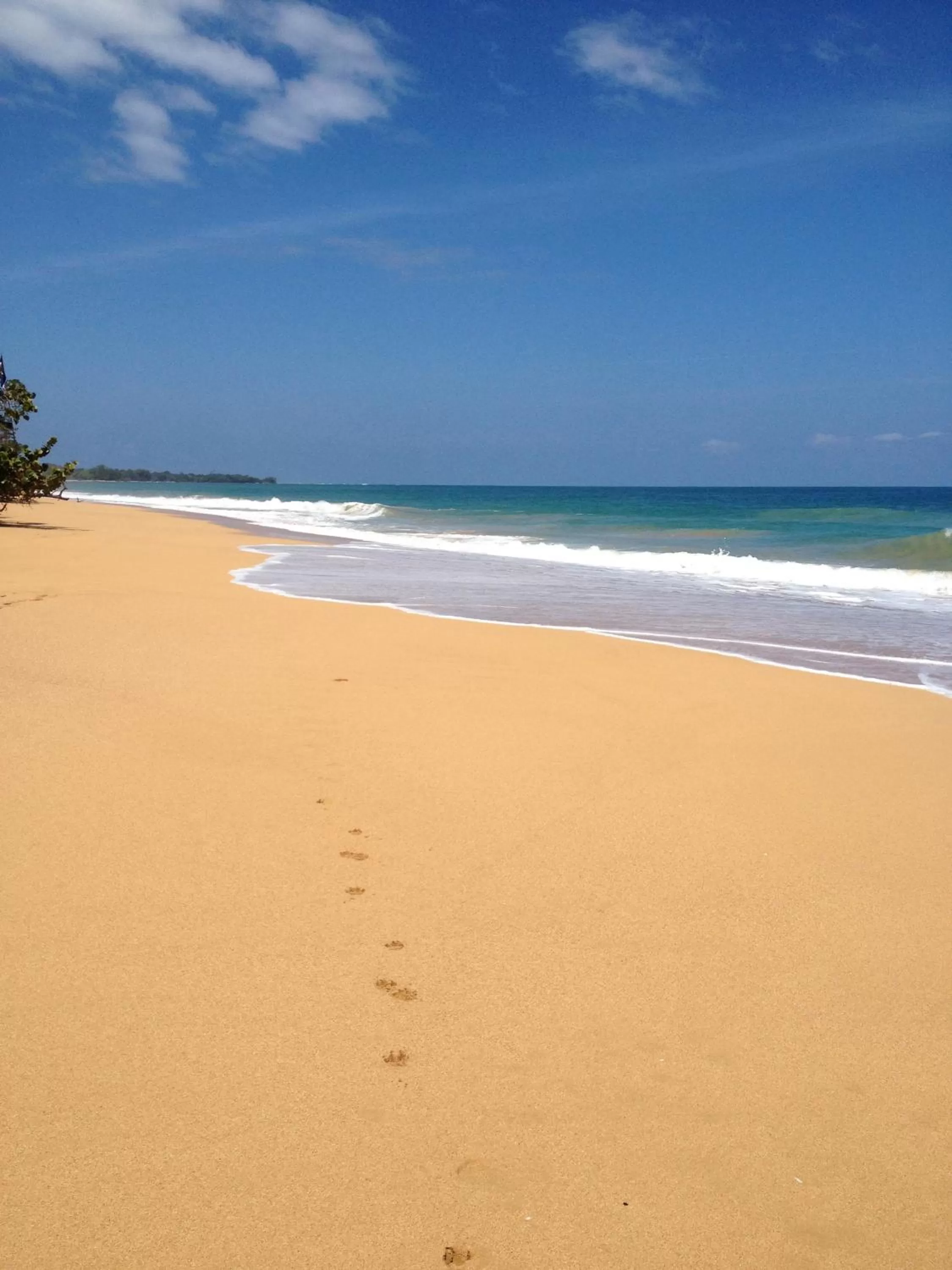 Beach in Turtle Beach House