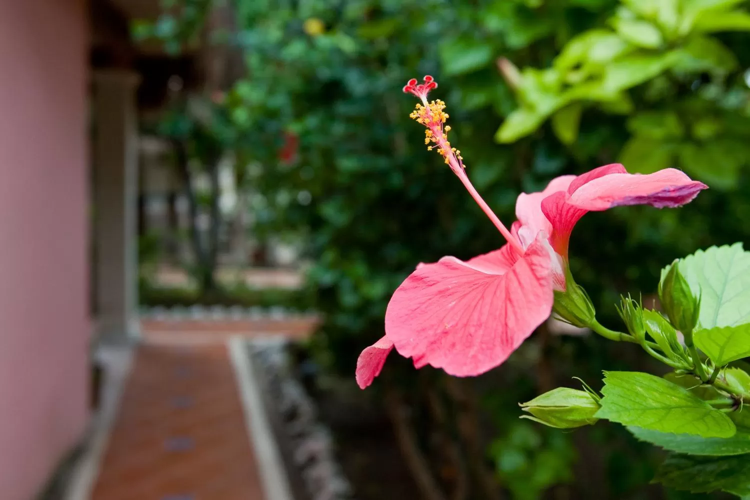 Decorative detail in Hotel Cabanas Maria Del Mar