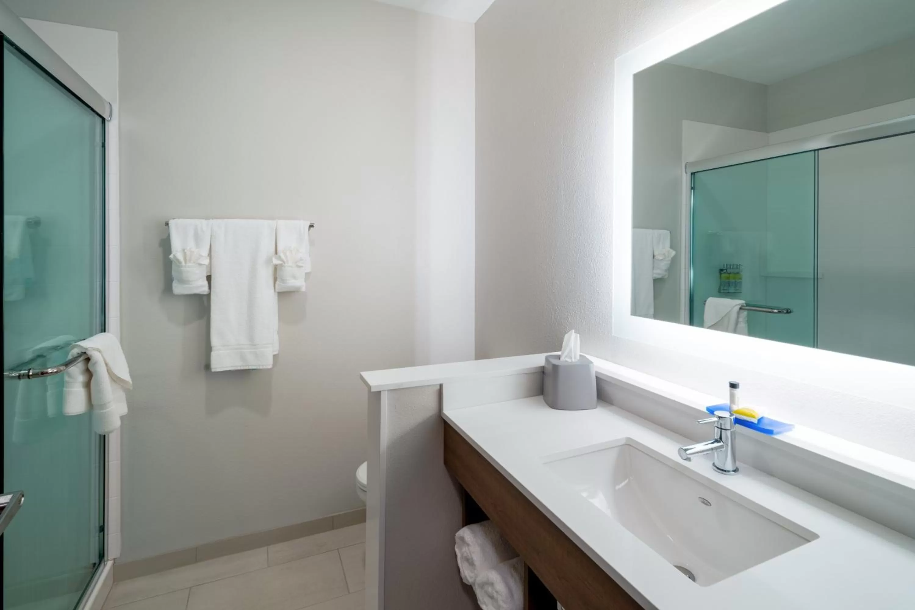 Bathroom in Holiday Inn Express & Suites - St Peters by IHG