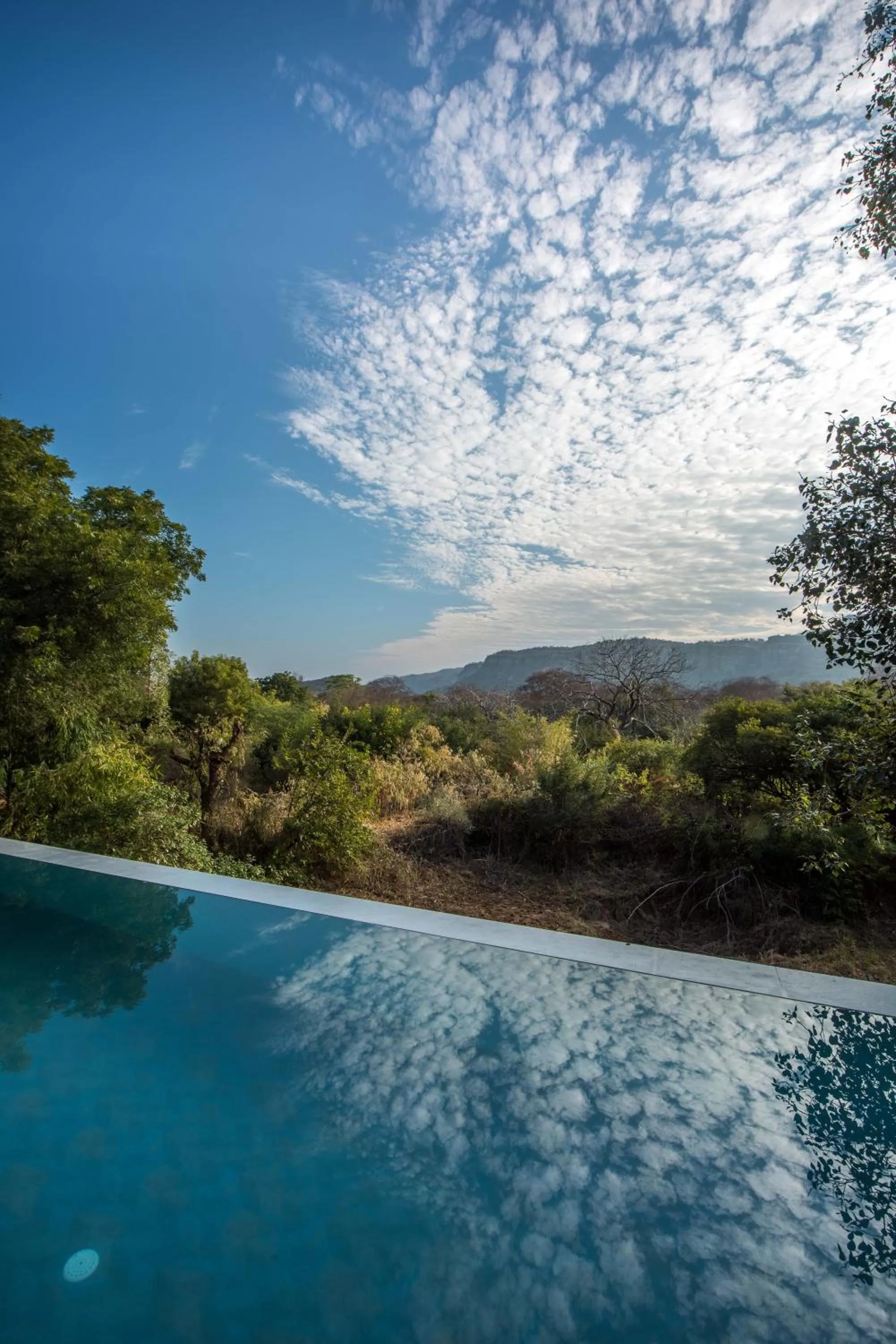 Swimming pool in Fateh's Retreat, Homestay