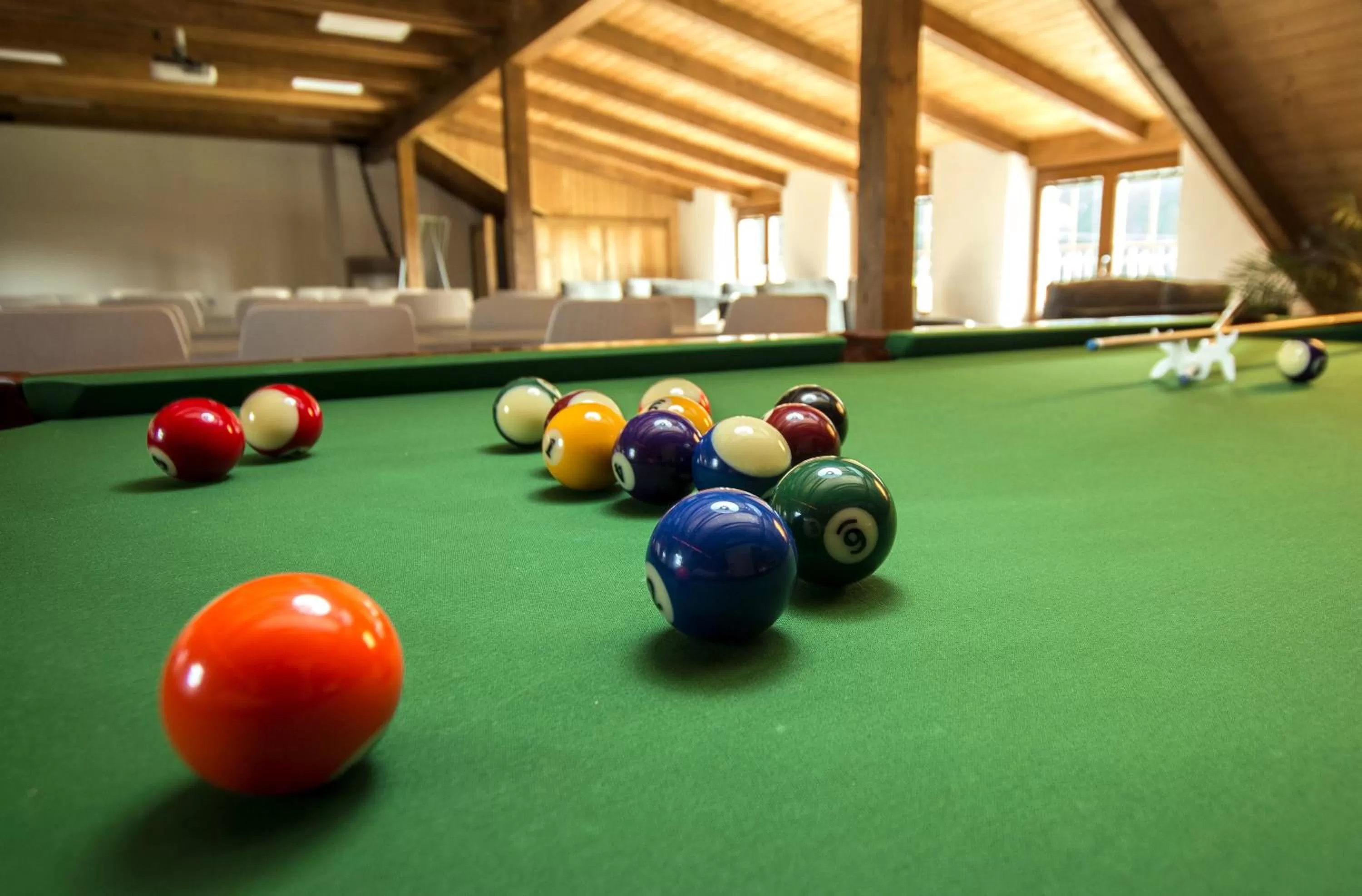 Wellness penzion Medličky