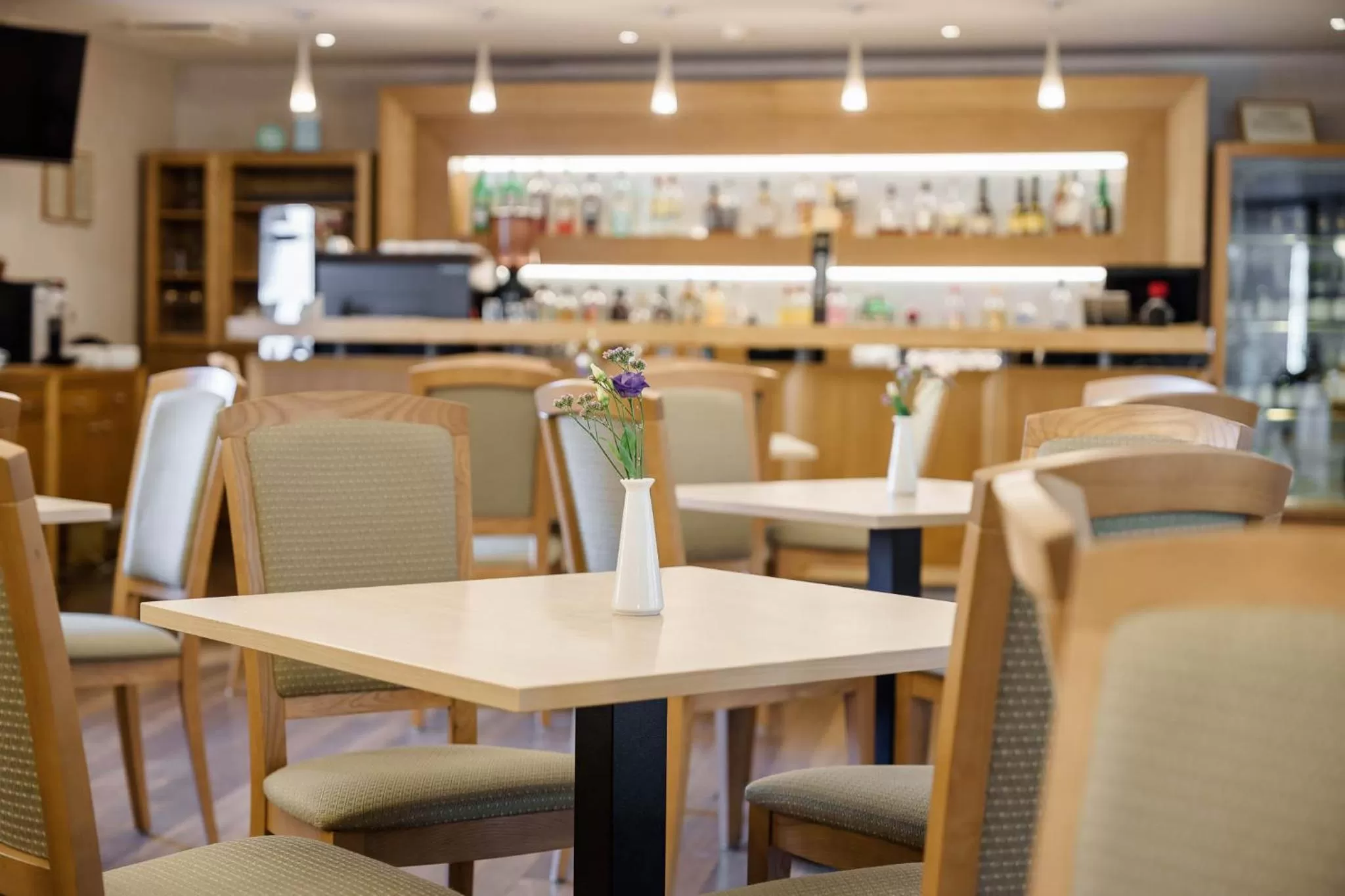 Restaurant/places to eat in Euterpe Hotel