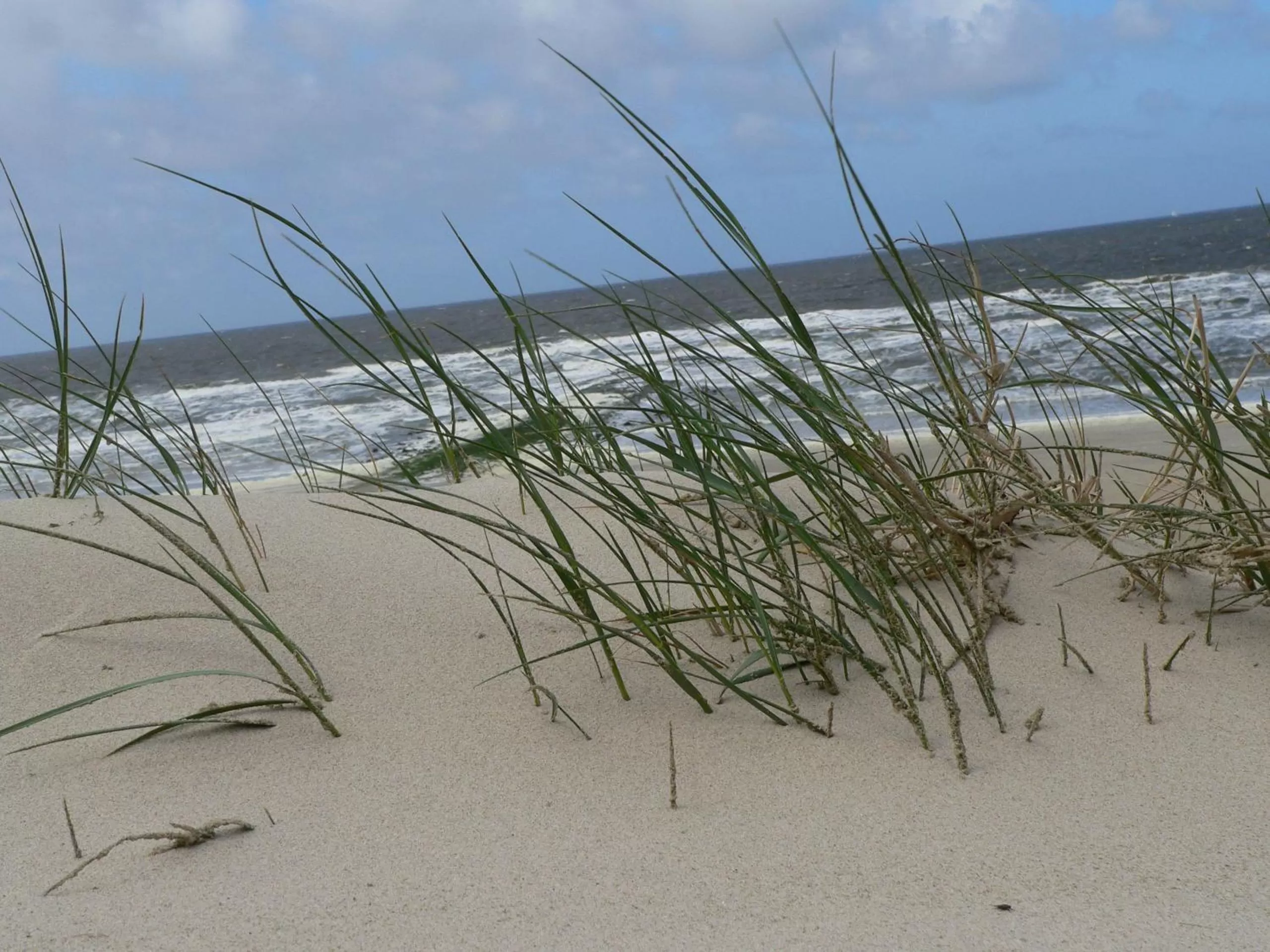 Beach in BE BIO Hotel be active - Nähe historischer Hafen