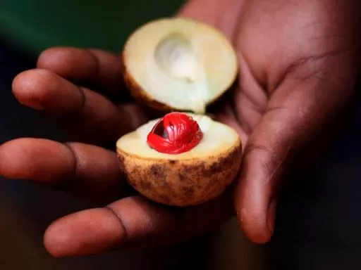 The Seyyida Hotel and Spa