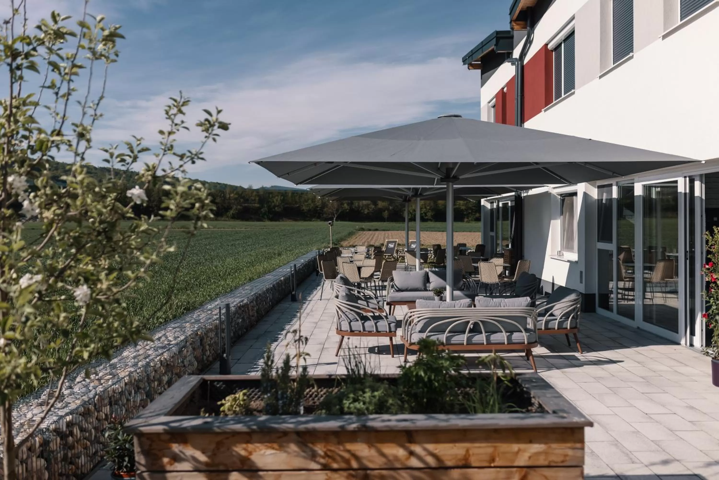 Garden in Hotel Smart Liv'in