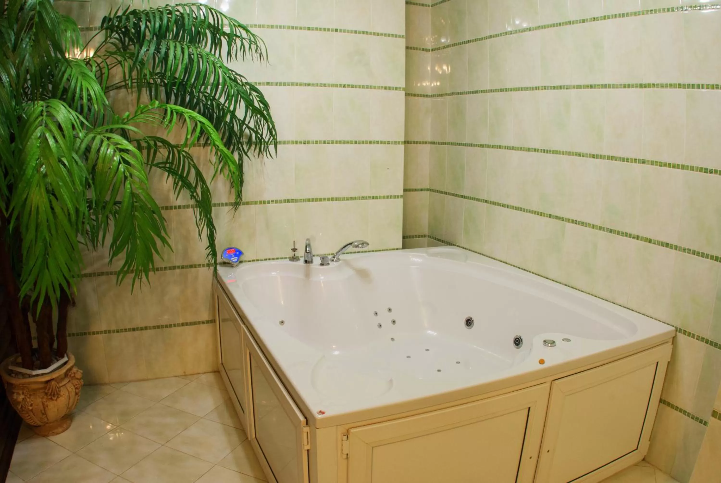 Spa and wellness centre/facilities in Kamelot