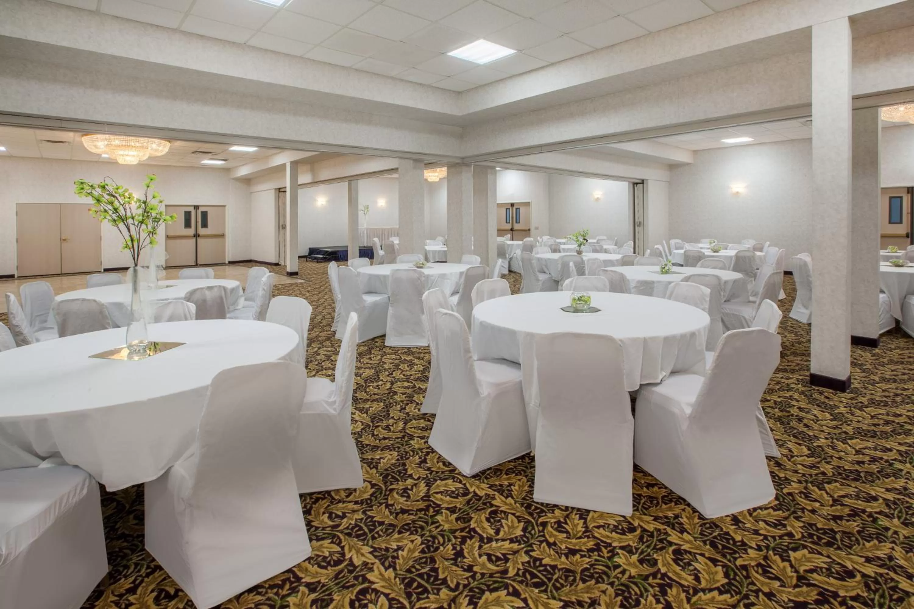Banquet/Function facilities in Baymont by Wyndham South Haven