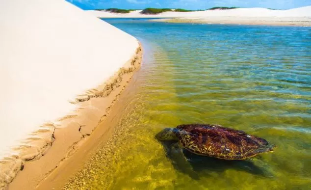 Day, Bird's-eye View in Pousada Vila do Carmo