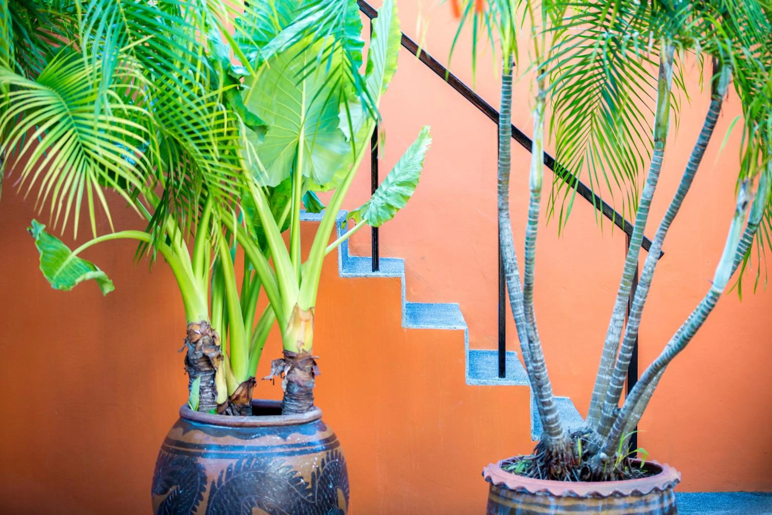 Day in Eden Bungalows Fisherman's village