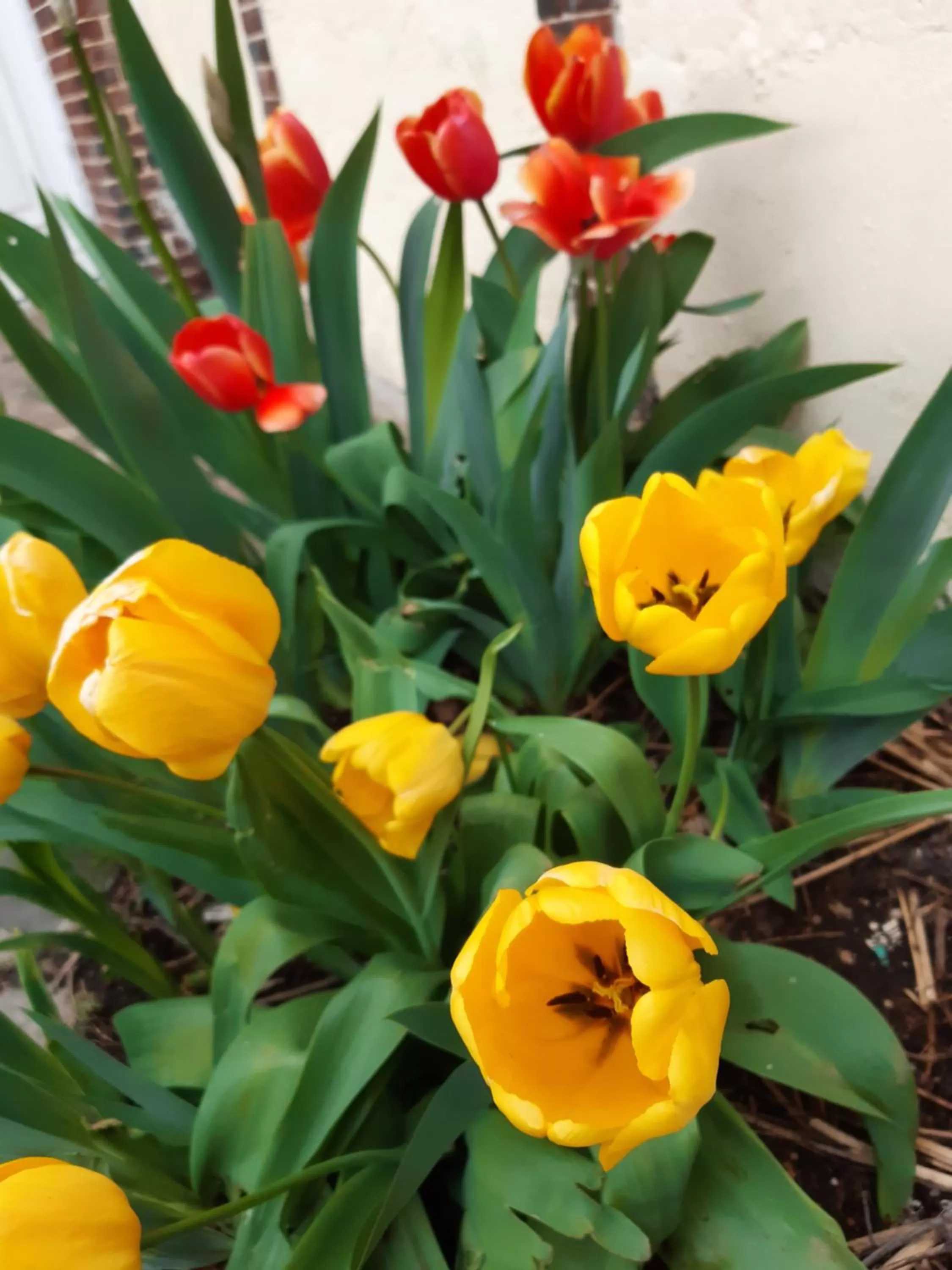 Garden in Au Charme de l'Eure