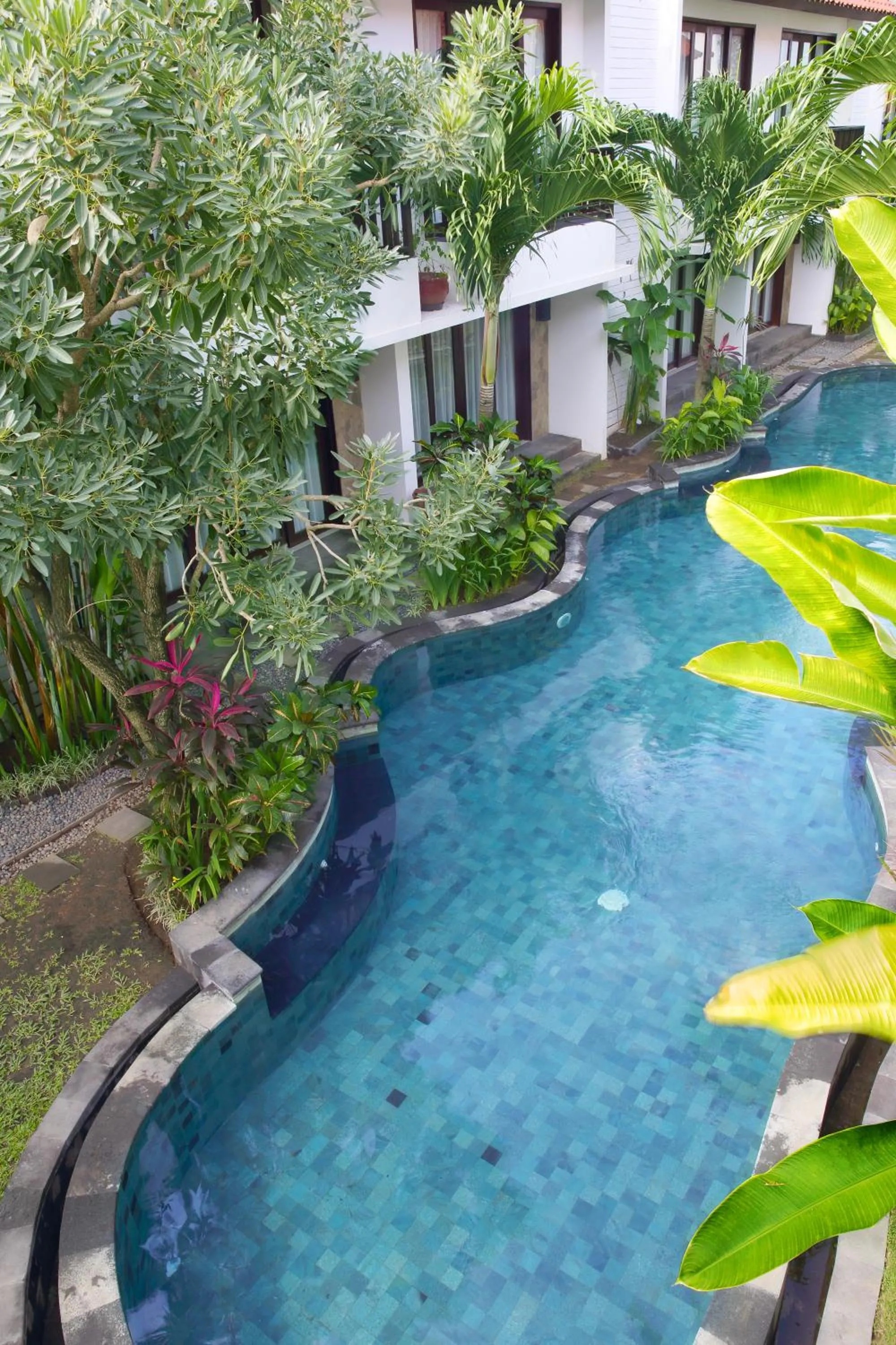 Swimming pool in Seminyak TownHouse