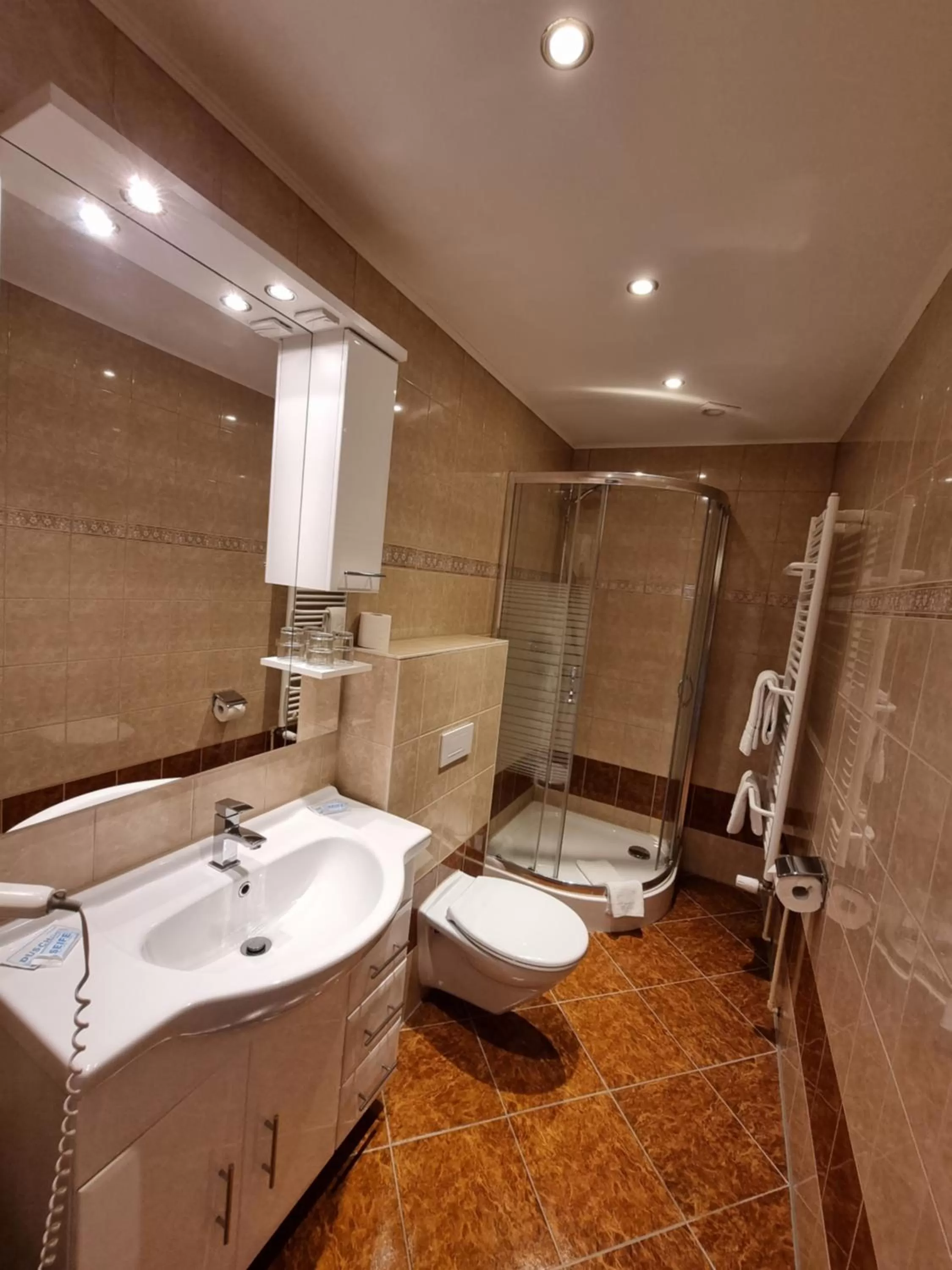 Bathroom in Hotel Zum Goldenen Löwen