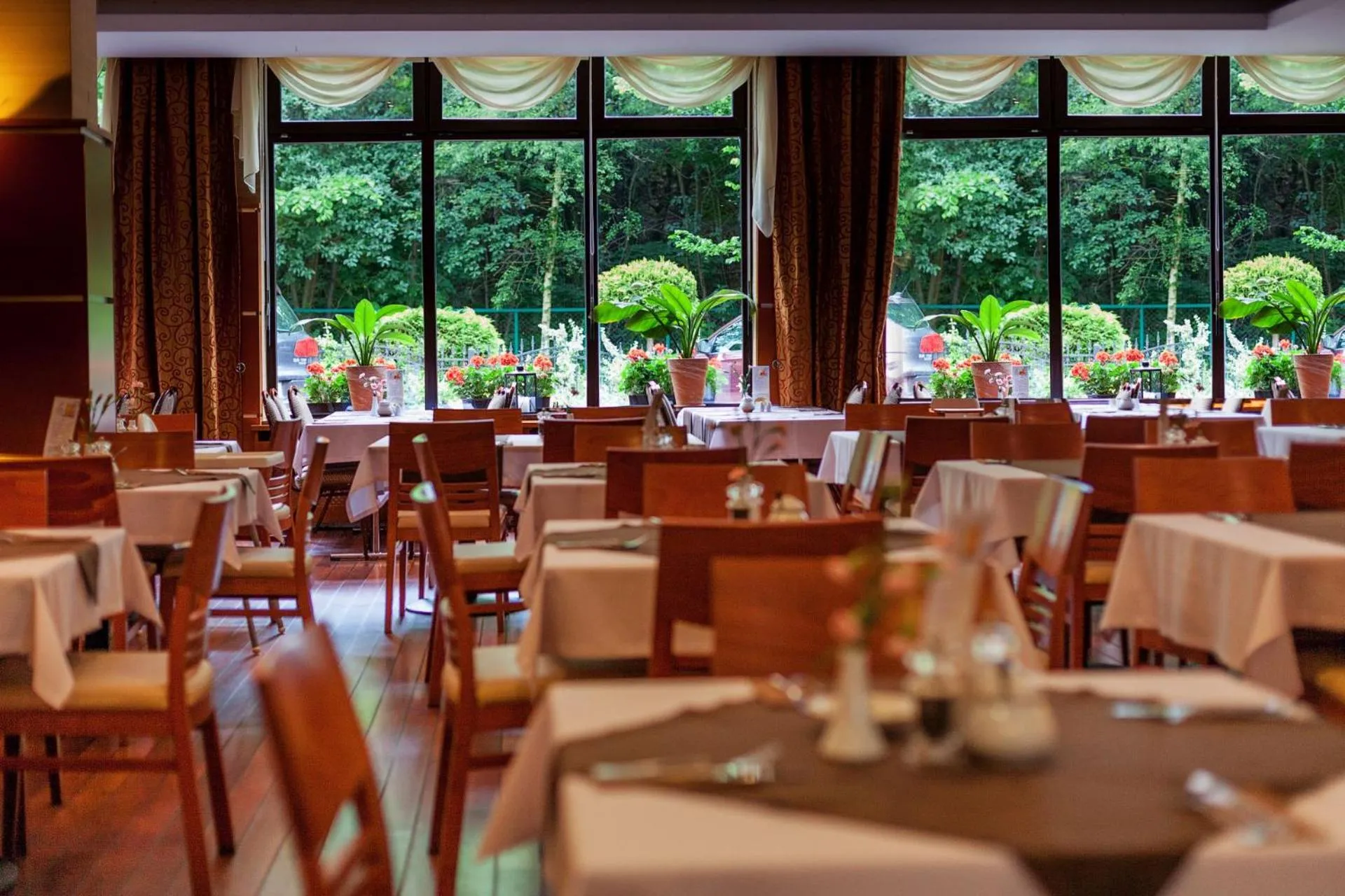 Restaurant/places to eat in Hotel Lidia Spa & Wellness