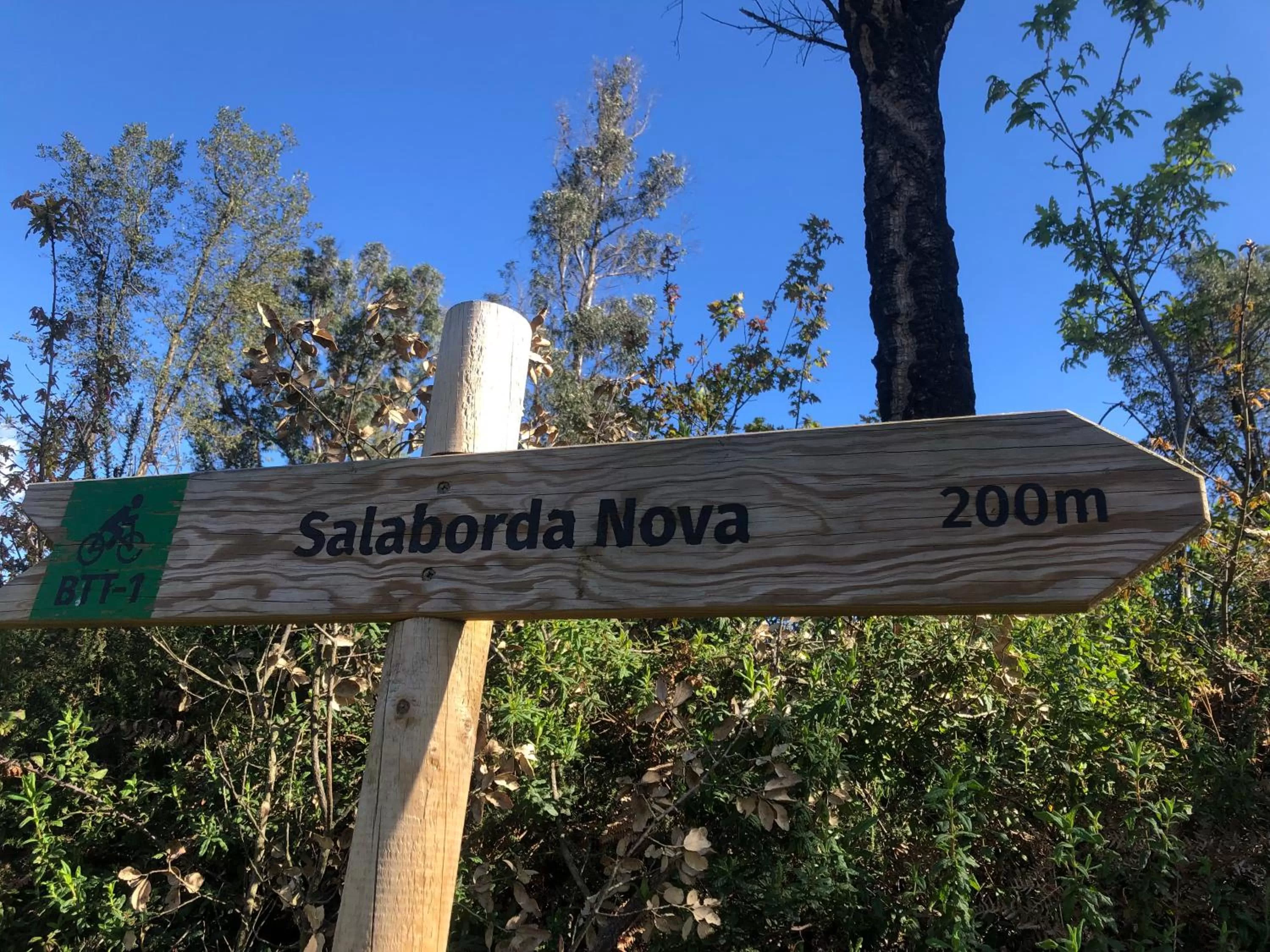 Other in House Of The Three Marias