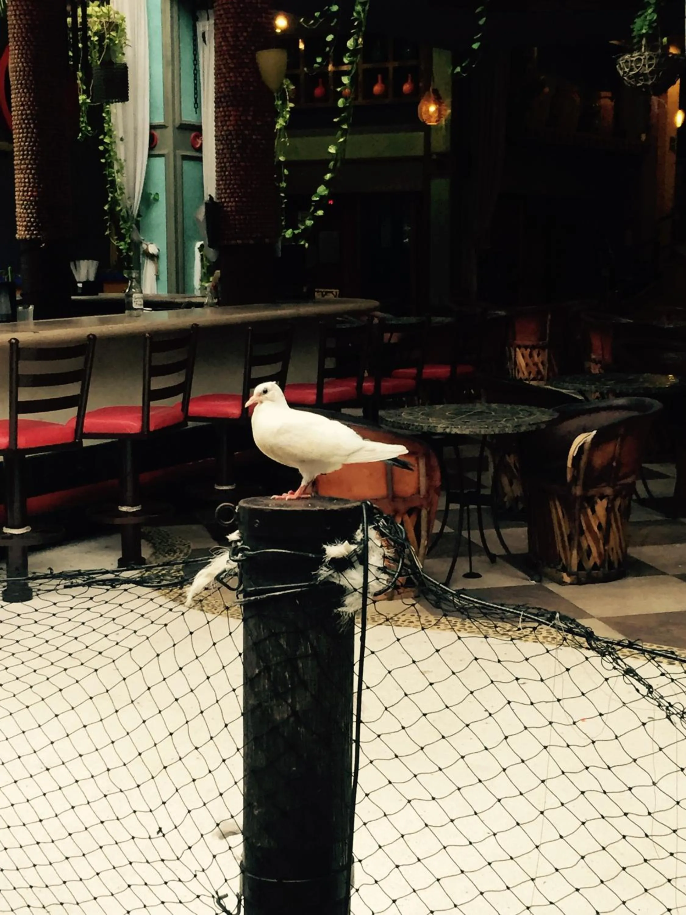 Facade/entrance in Hotel Club del Sol Acapulco by NG Hoteles