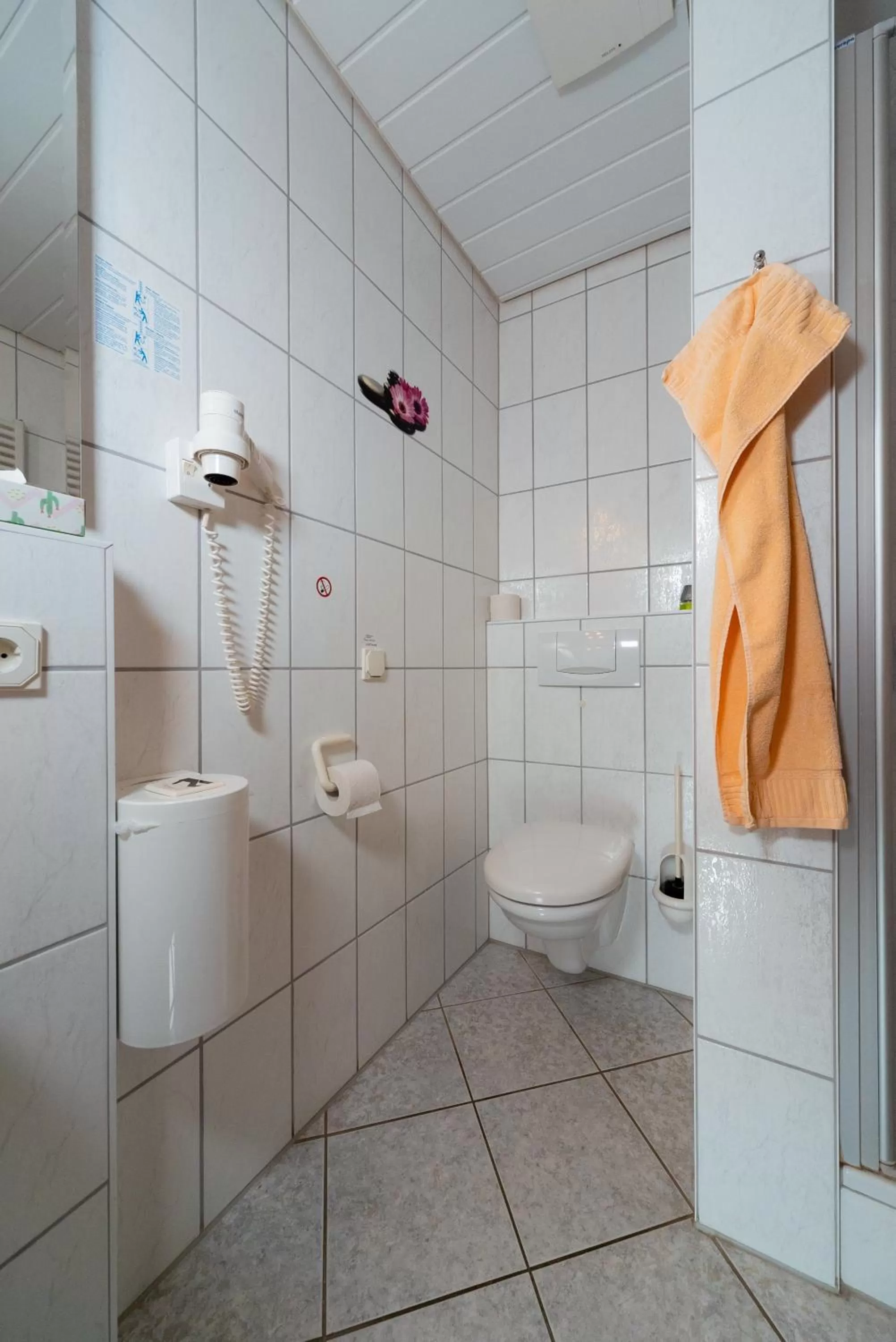 Toilet in Wirtshaus & Hotel Zur Alten Brauerei Zapf