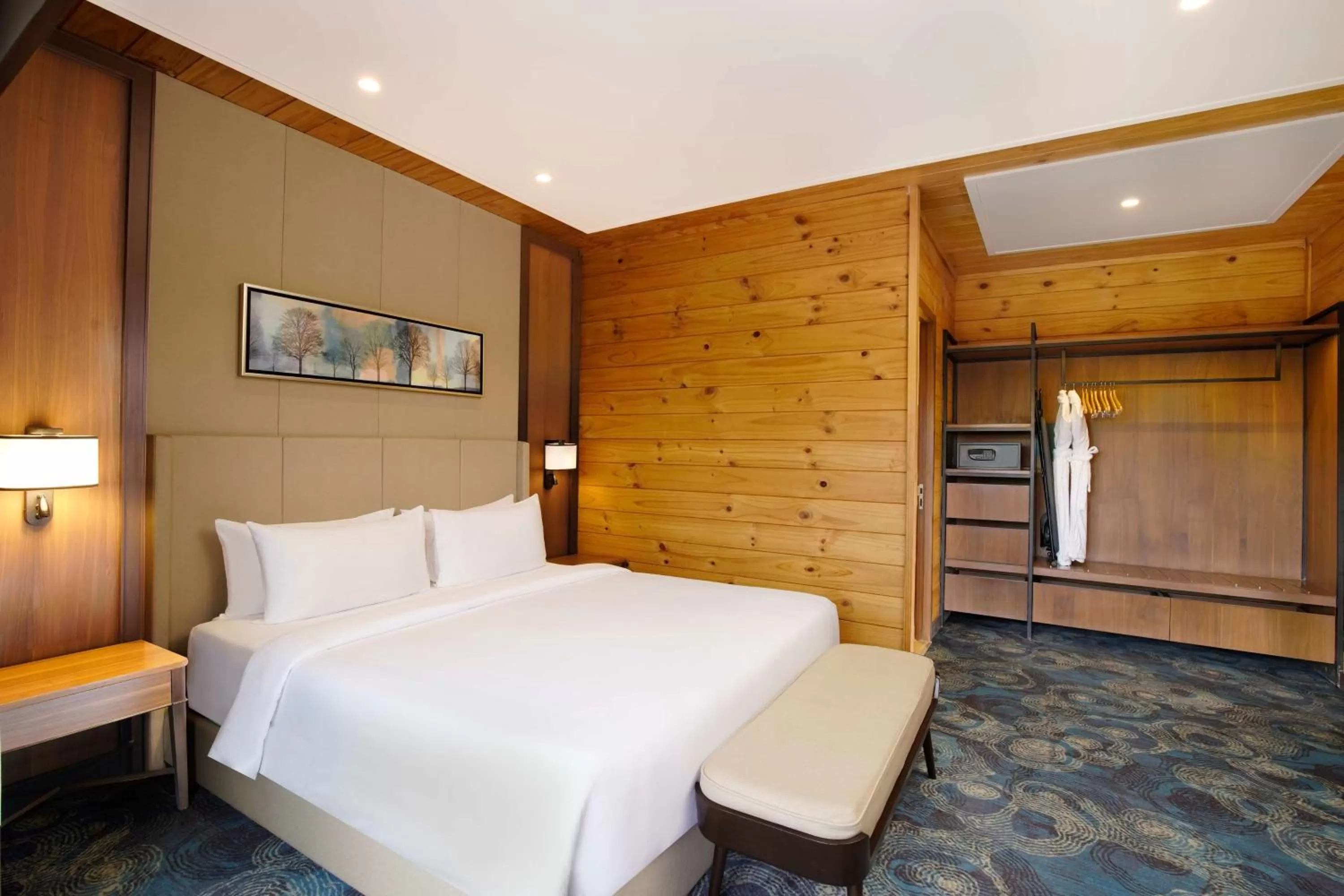 Junior Suite - single occupancy in Radisson Blu Resort Dharamshala