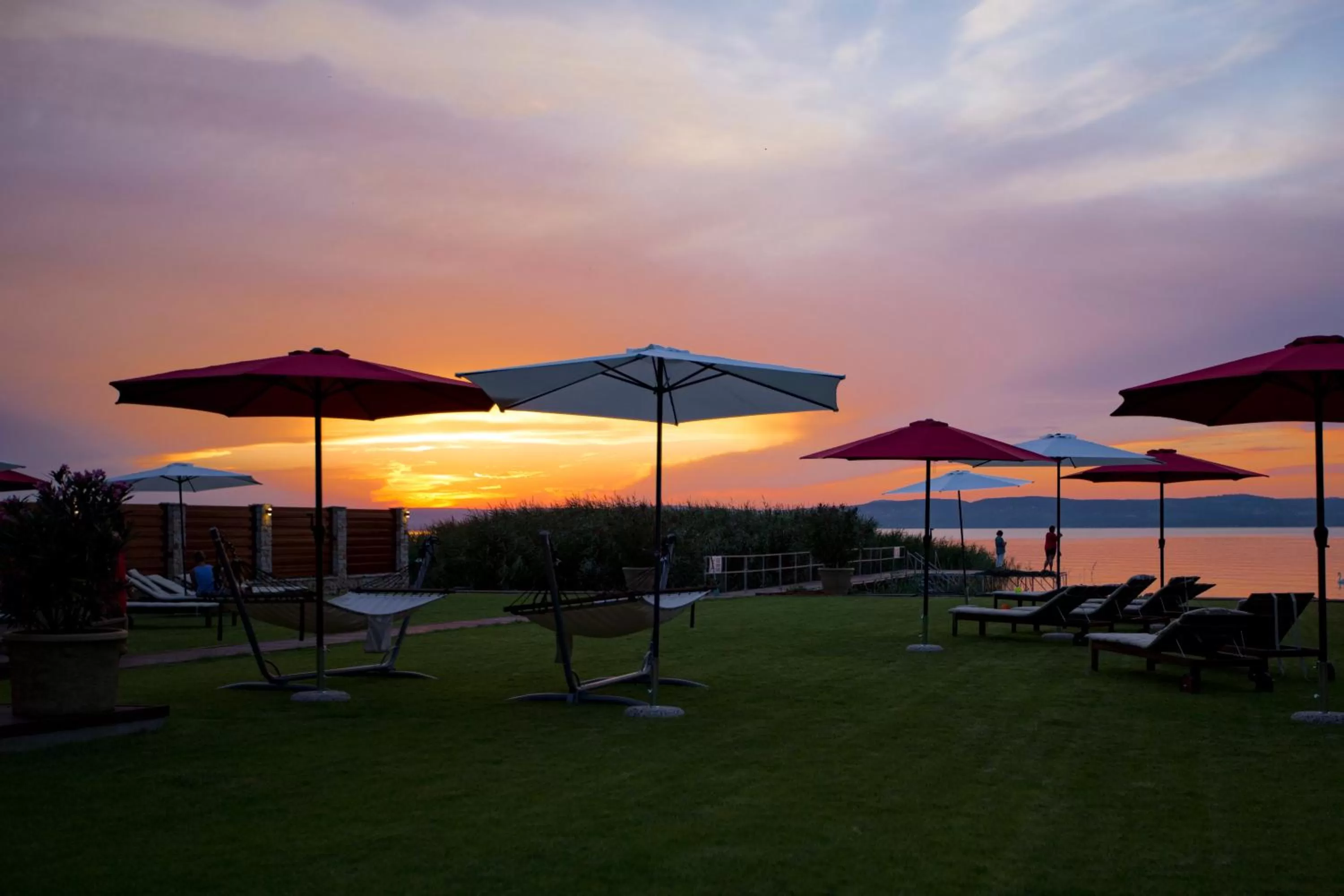 Garden in Pole Position Beach Hotel
