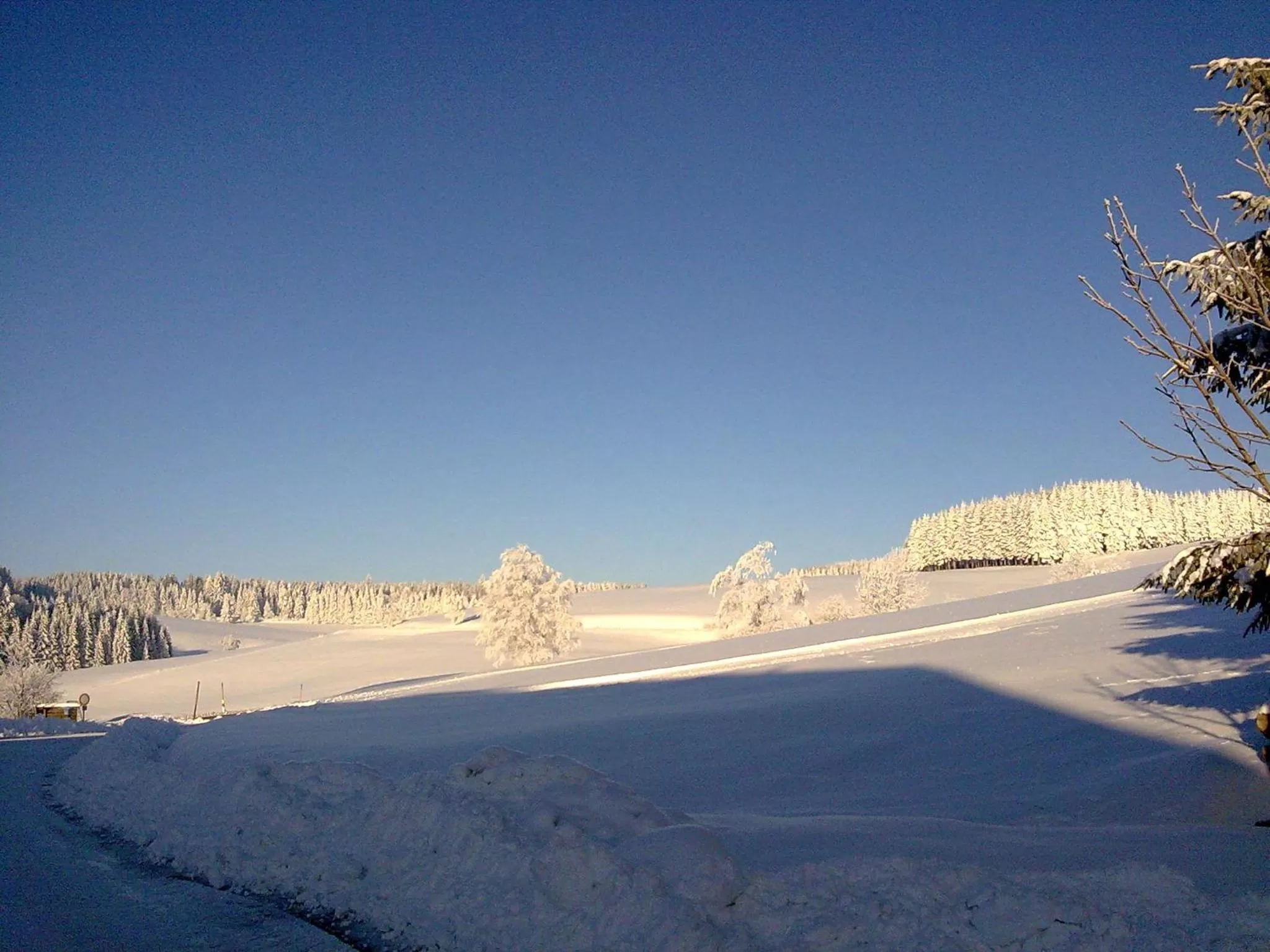 Natural landscape in ZUR TRAUBE Schwarzwaldhotel & Restaurant am Titisee