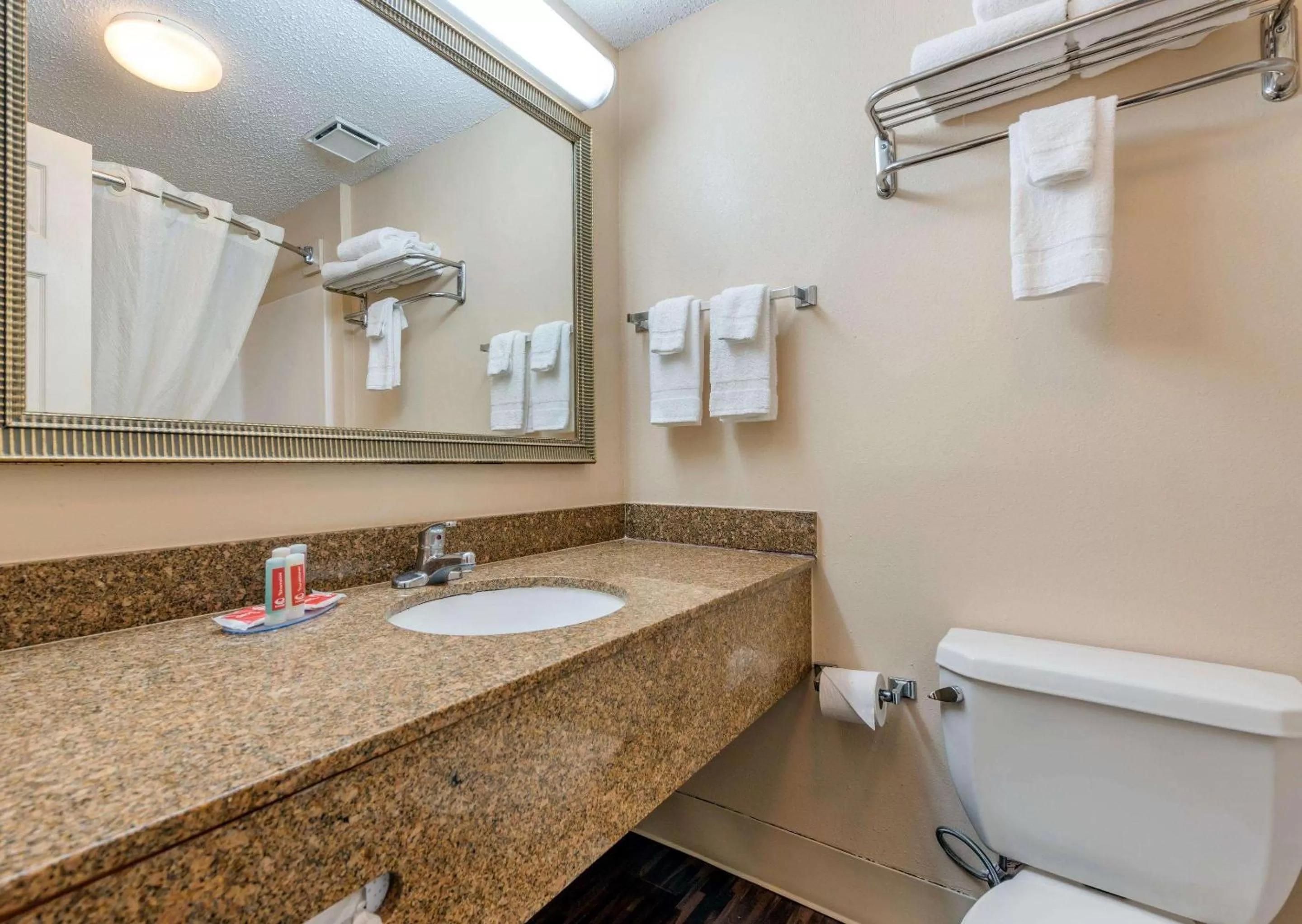 Bathroom in Econo Lodge Louisville Downtown