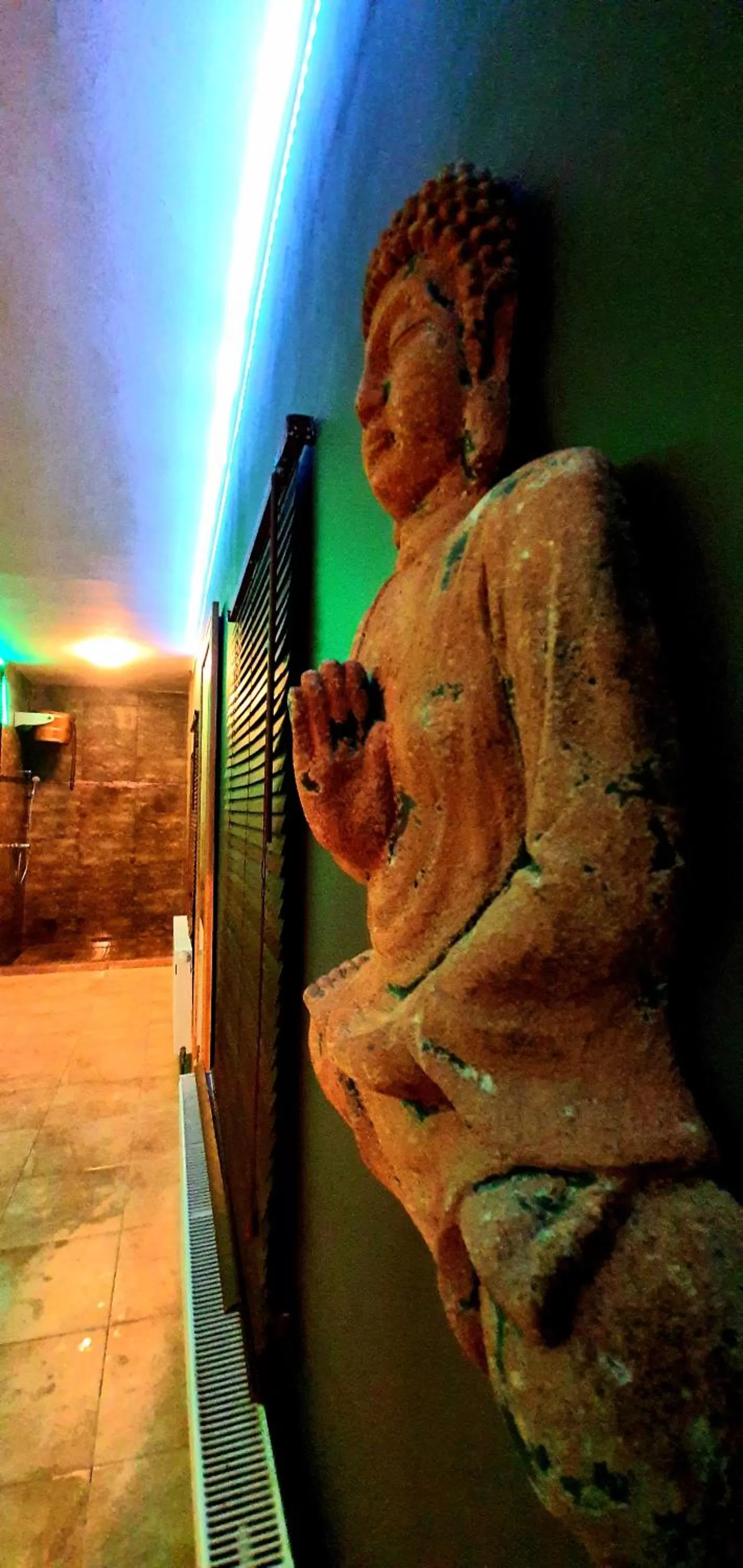 Spa and wellness centre/facilities in Hotel Farma Vysoká