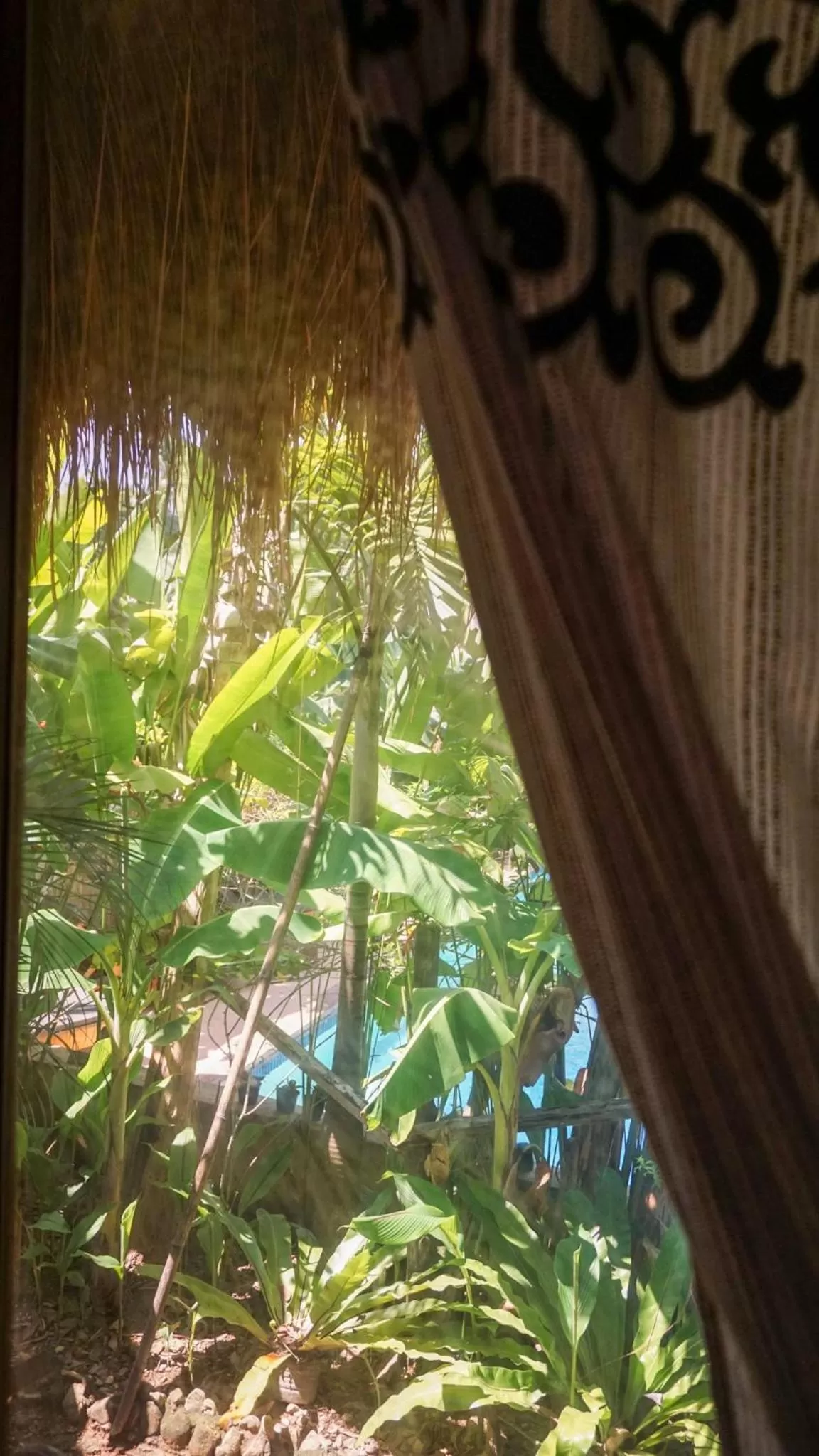 Pool View in La Colonial Resort