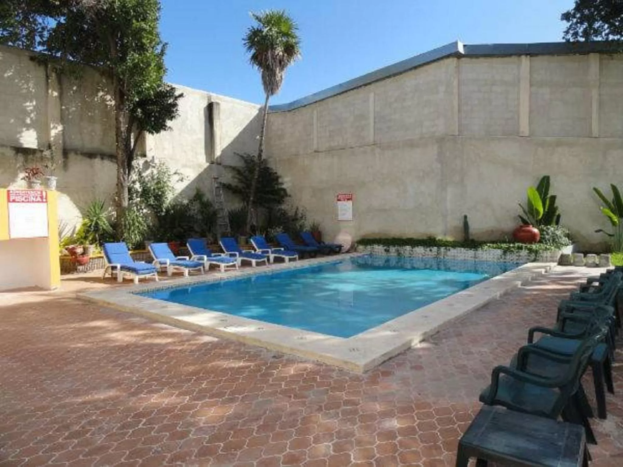 Swimming pool in Hotel Las Dalias Inn