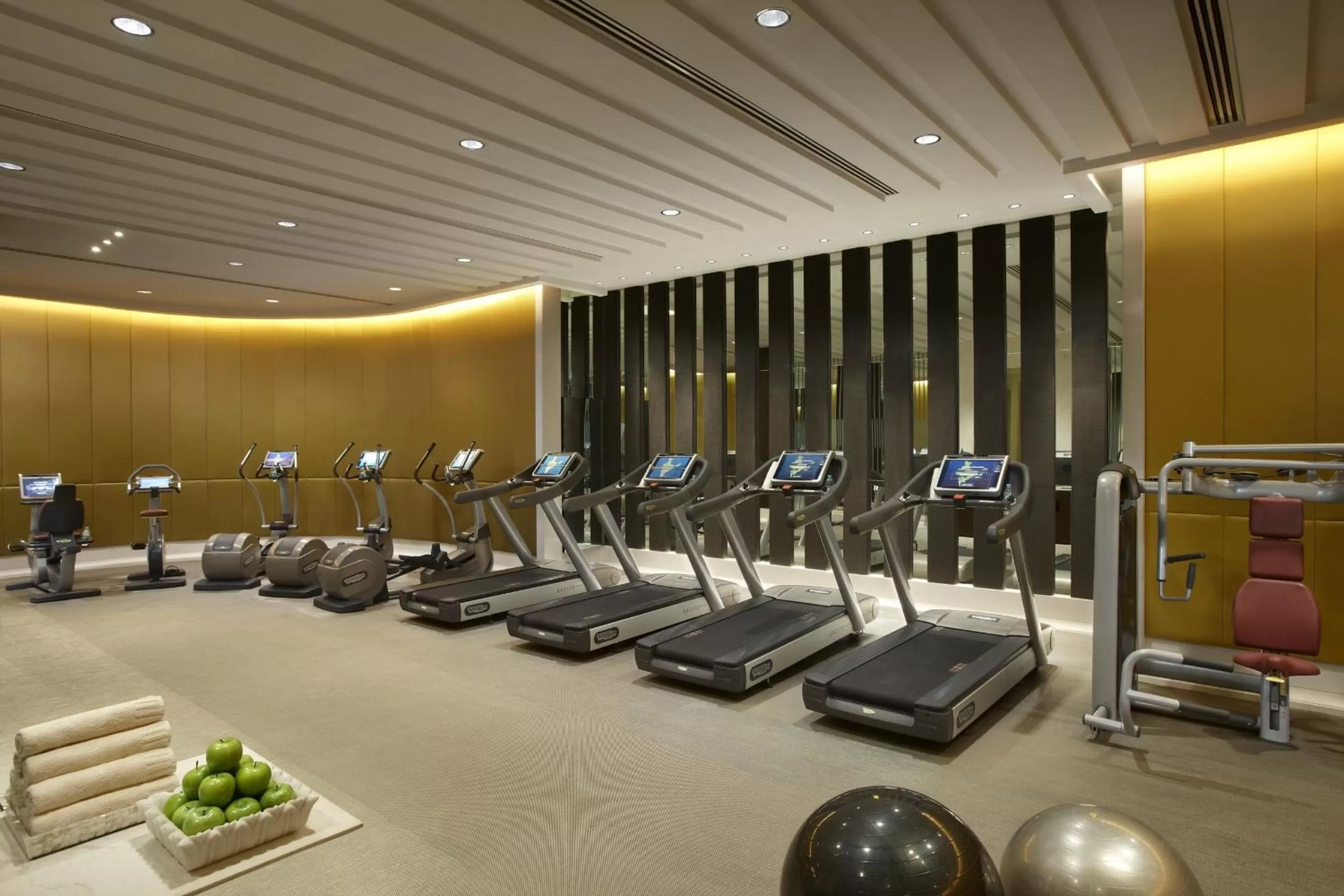 Fitness centre/facilities in The Leela Palace New Delhi