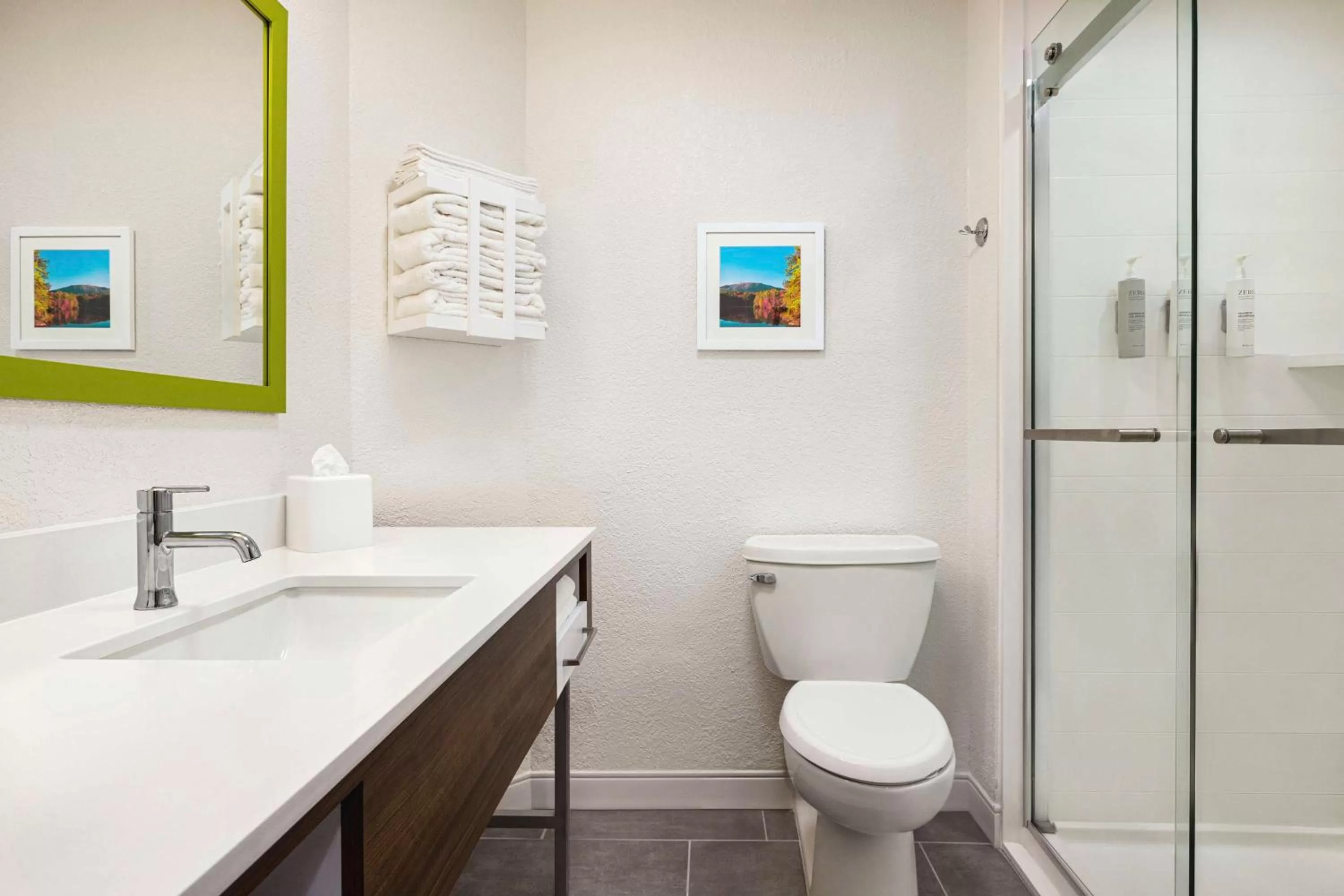 Bathroom in Hampton Inn Atlanta-Stone Mountain