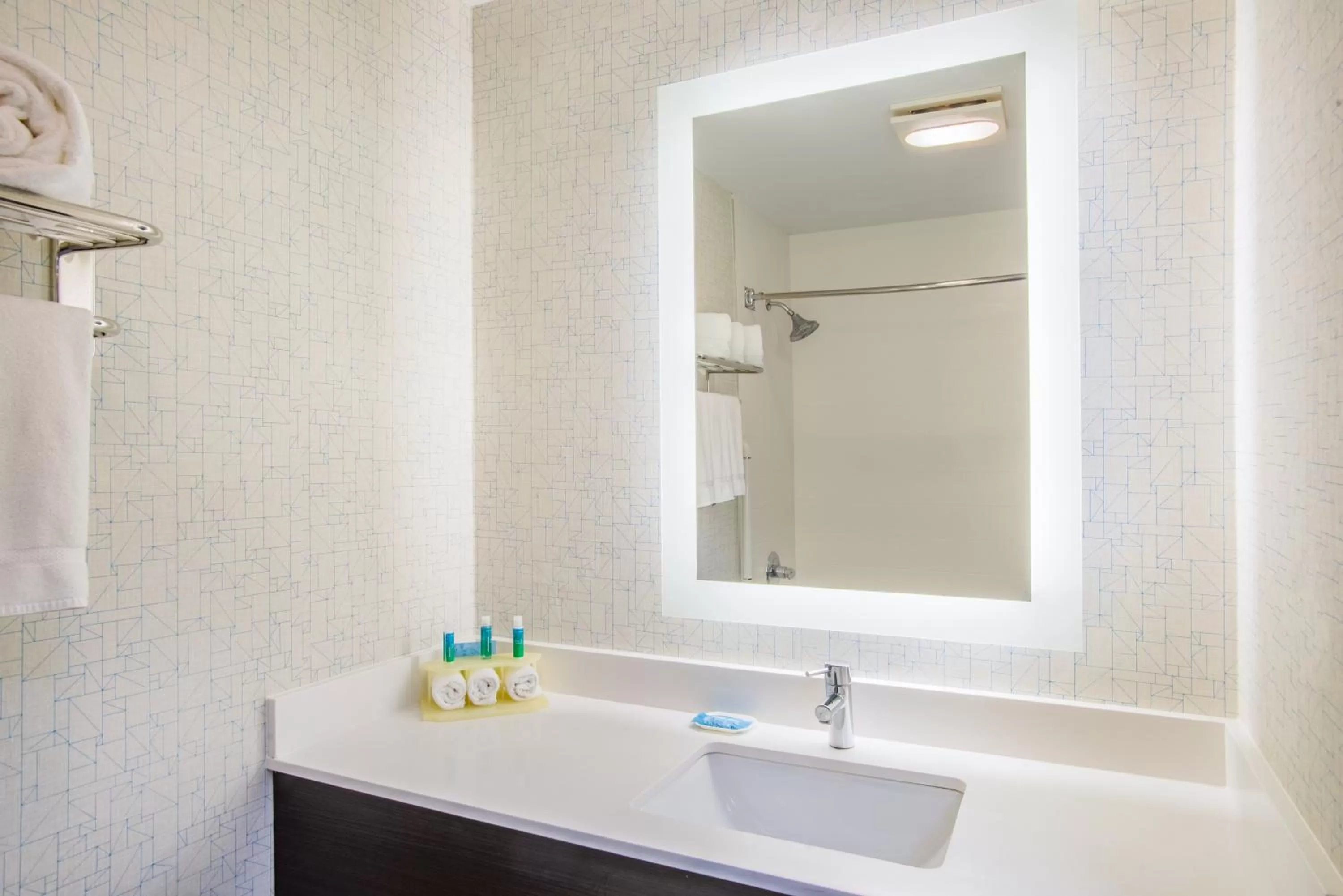 Bathroom in Holiday Inn Express Hotel & Suites Boston - Marlboro by IHG