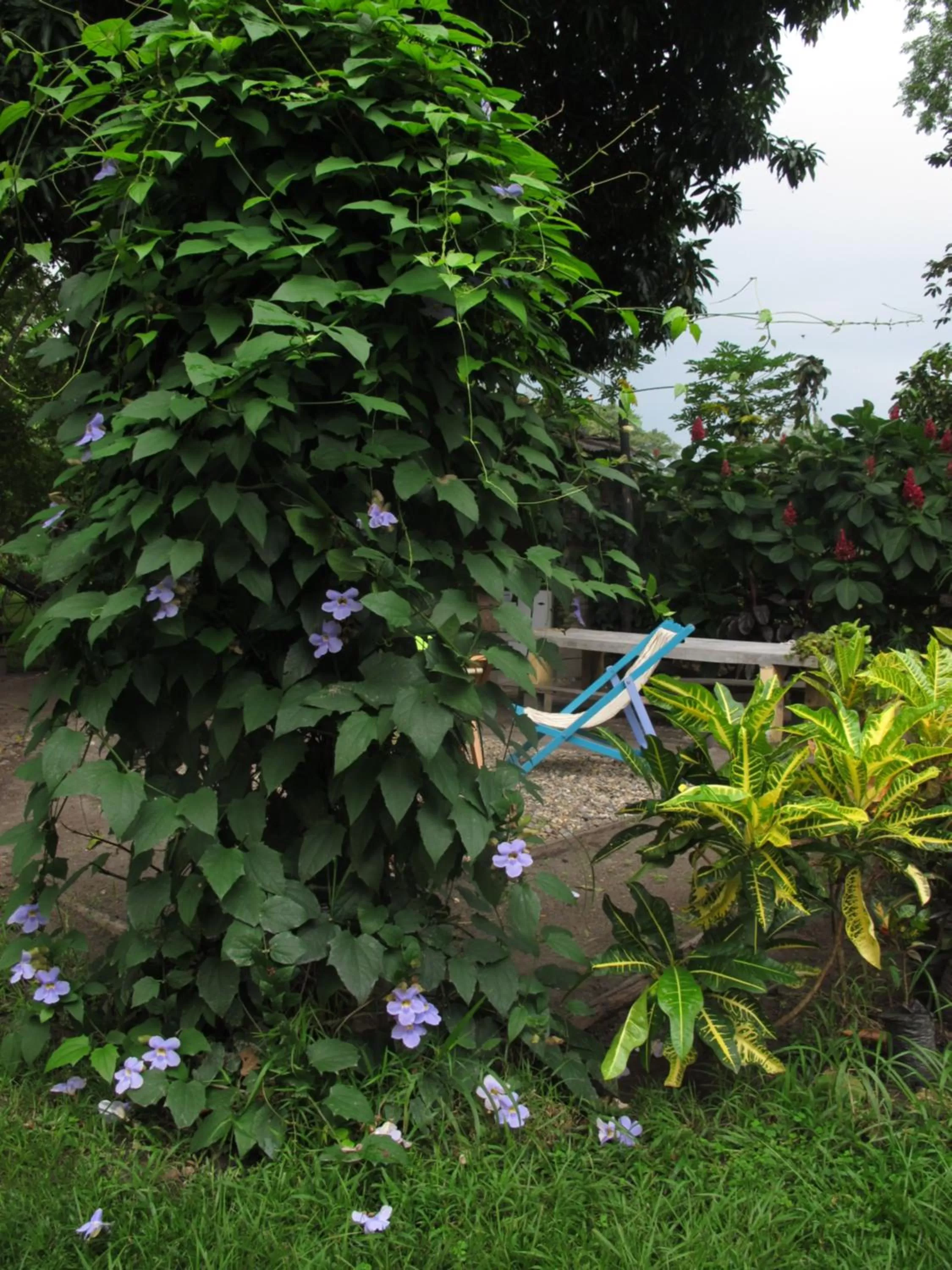Patio in Waka Hotel Rural