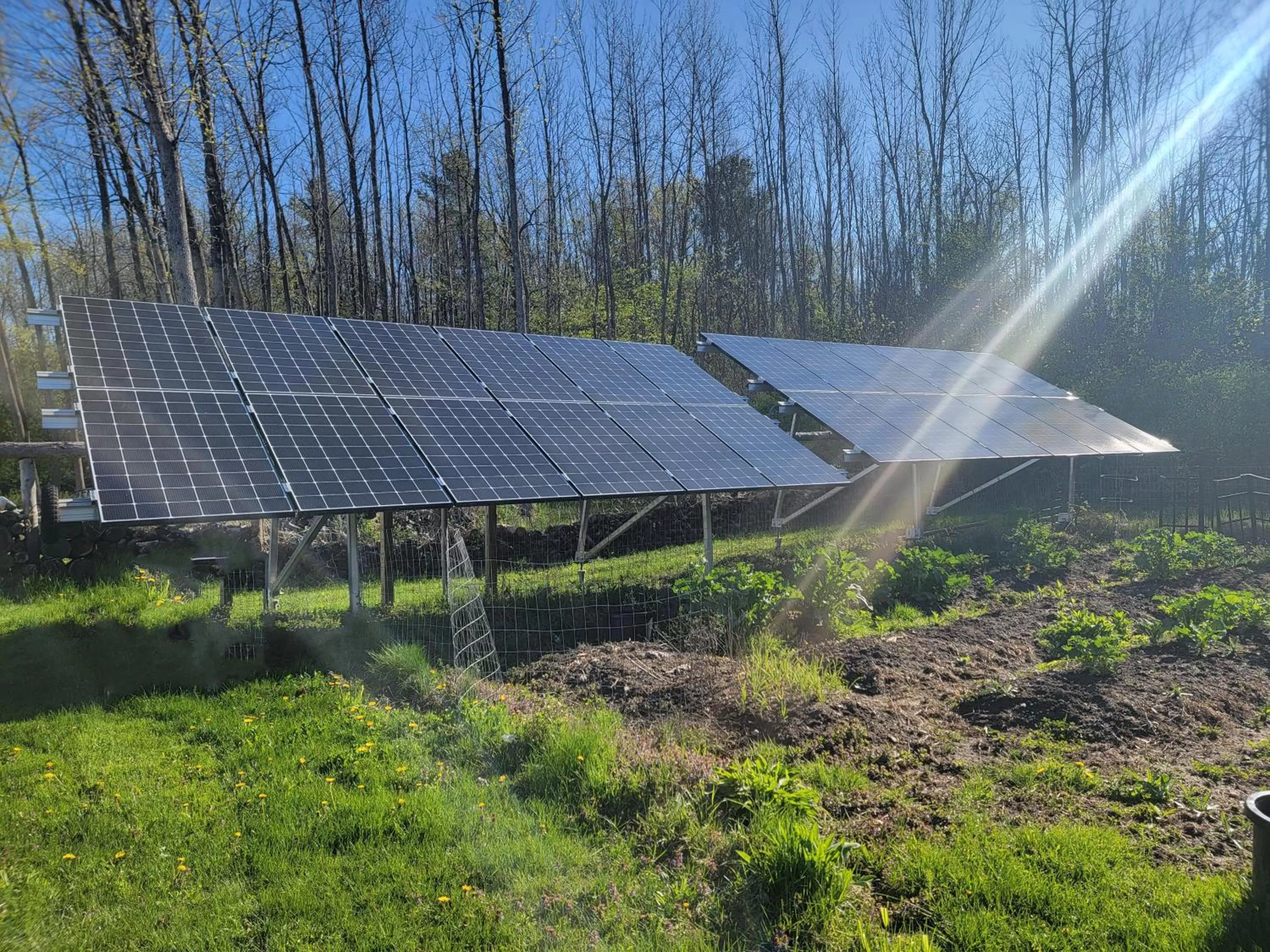 Garden view in South Side Inn - Burlington