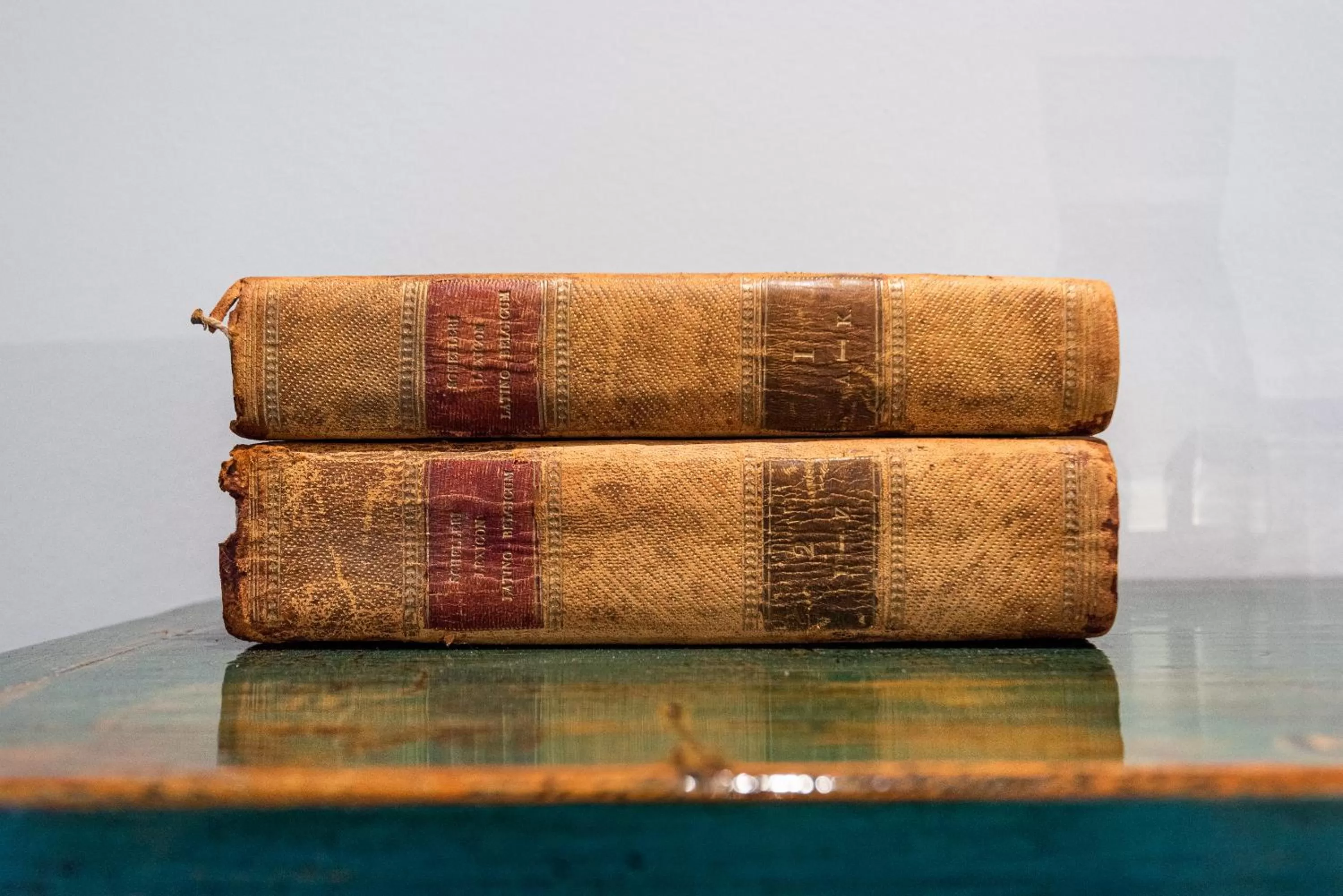 Villa Magdalena Eeklo